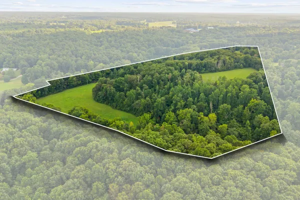 an aerial view of a house with a yard and large trees