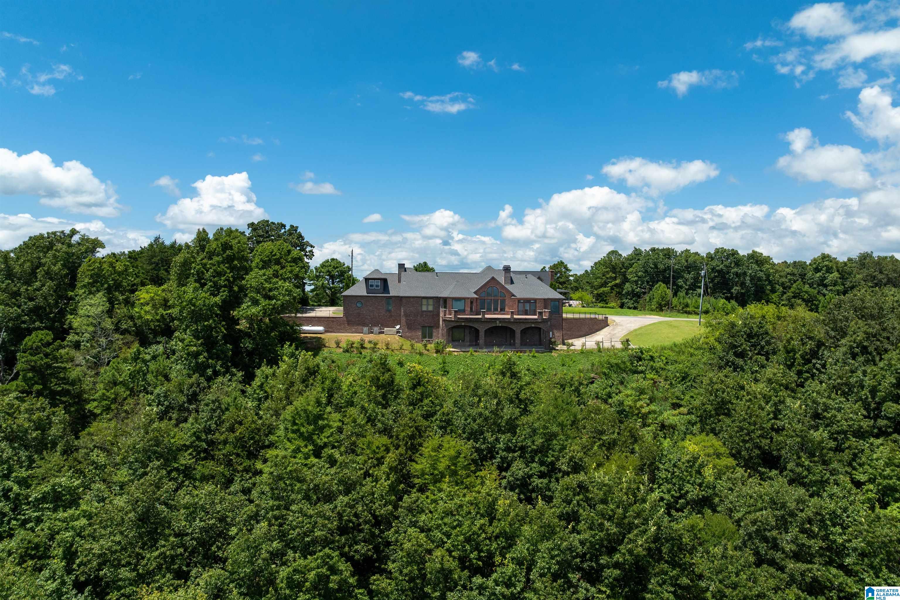 8378 Pine Mountain Road Springville, AL 35146 - Photo 59 of 59
