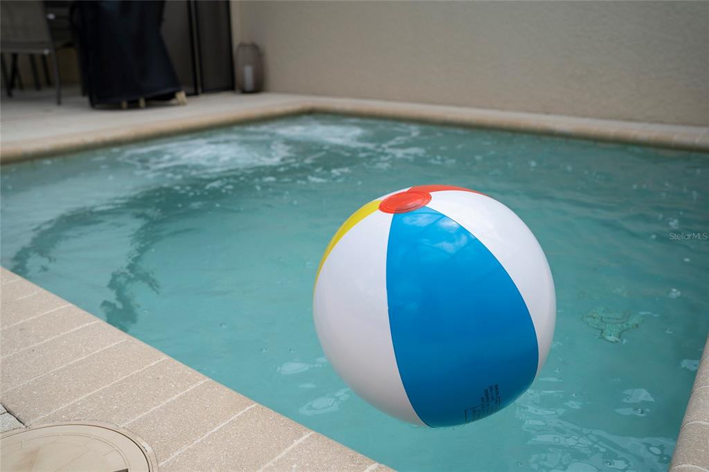 17417 Placidity Avenue Clermont, FL 34714 - Photo 8 of 25 a view of a backyard