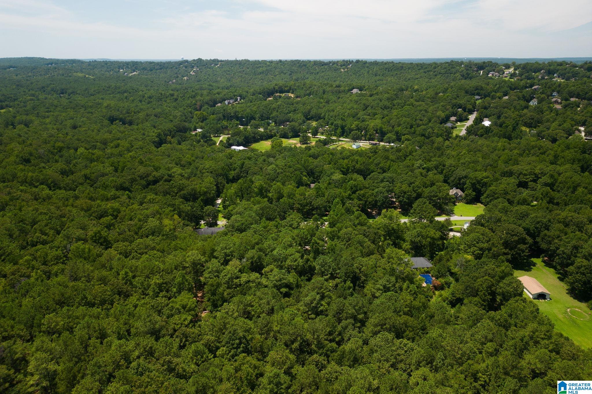 132 Chestnut Lane Helena, AL 35080 - Photo 56 of 59