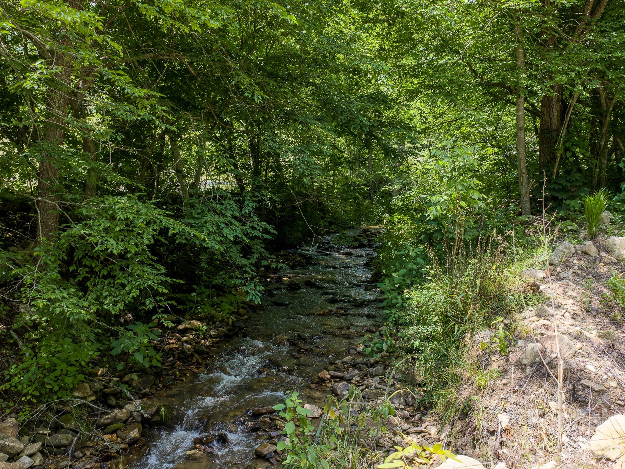 0 Sallys Branch Road Clyde, NC 28721 - Photo 15 of 22