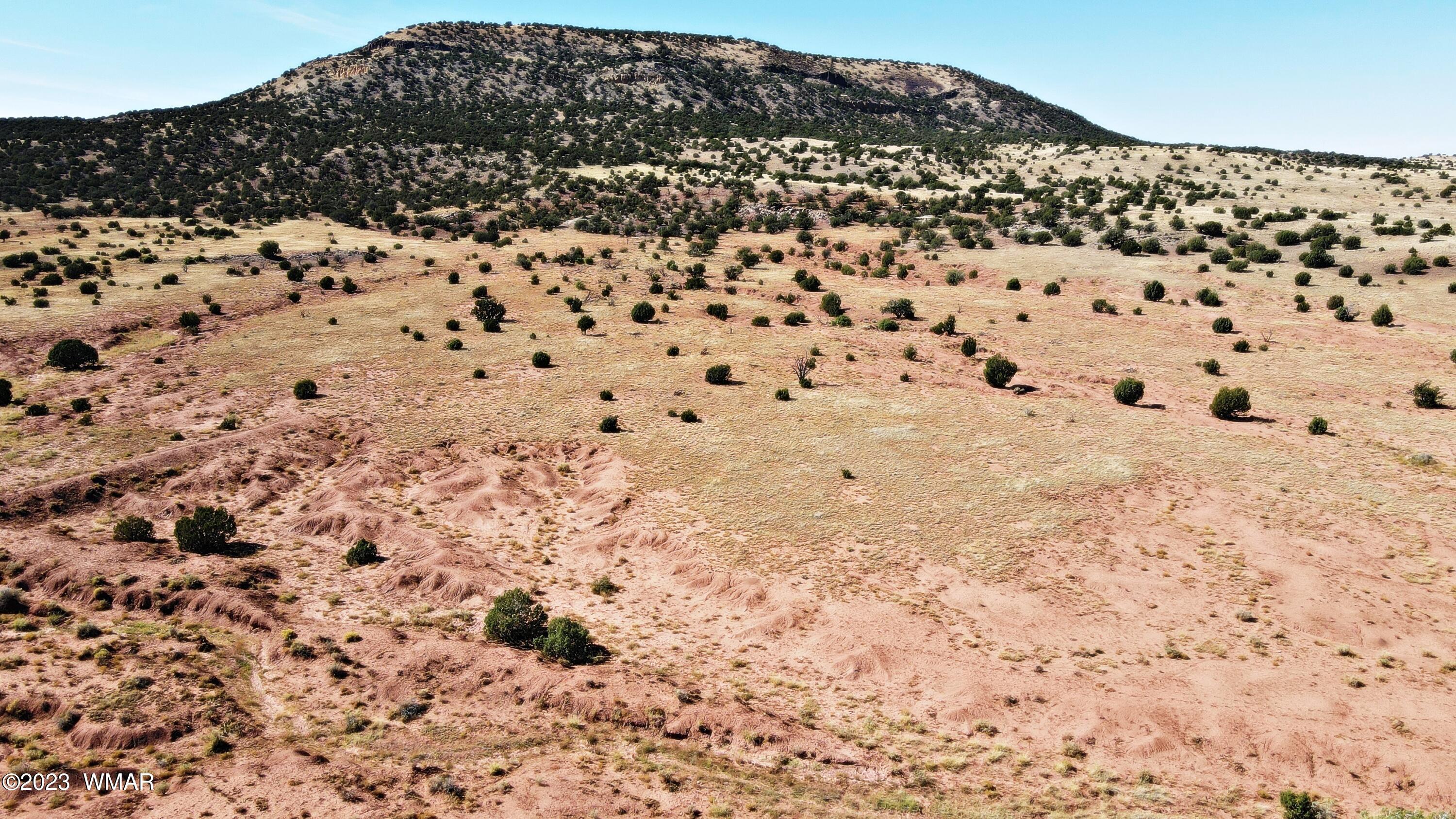 Lot 67 Pinon Valley Ranch, Unit 2 Concho, AZ 85924 - Photo 1 of 24