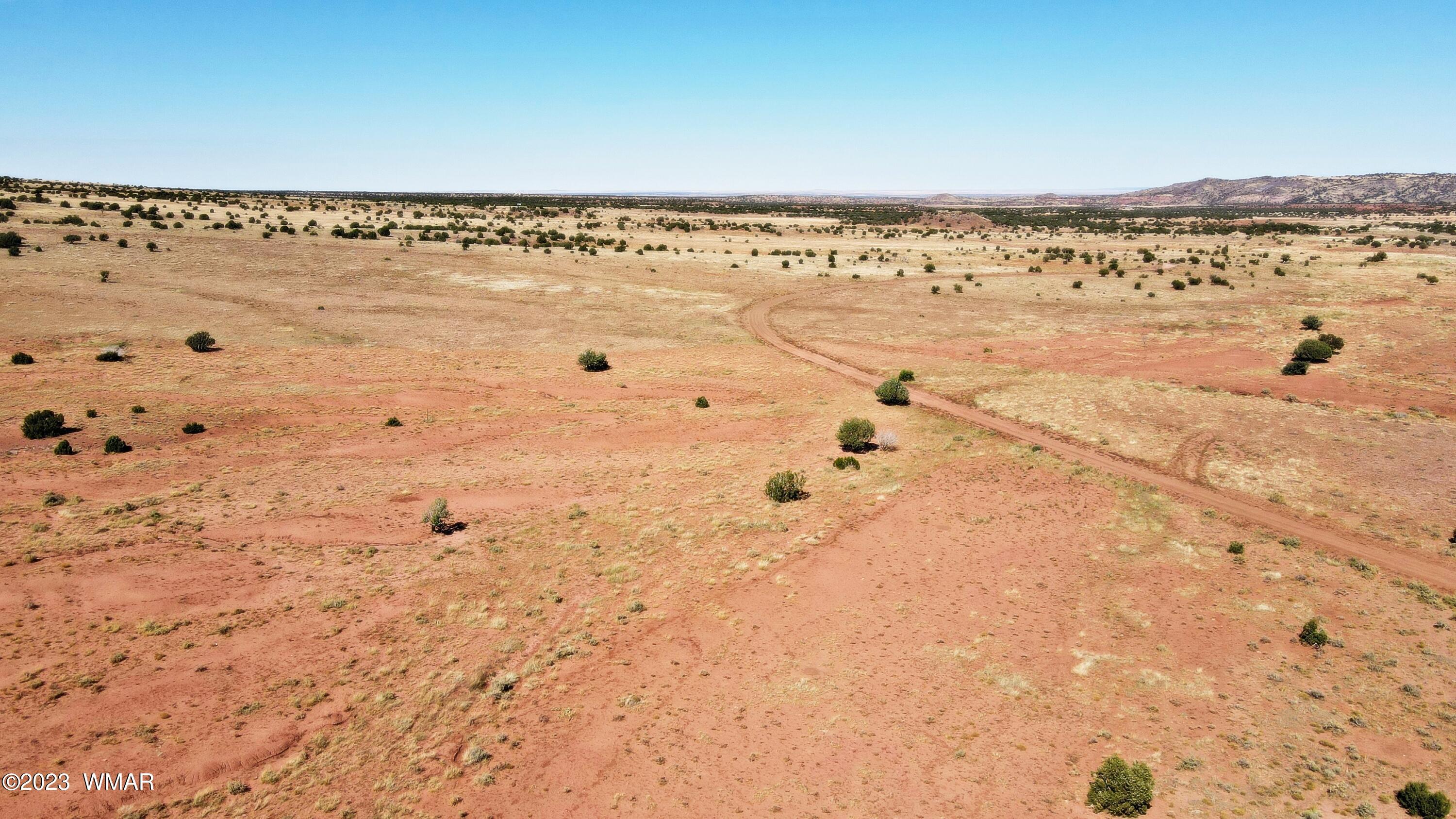 Lot 67 Pinon Valley Ranch, Unit 2 Concho, AZ 85924 - Photo 11 of 24