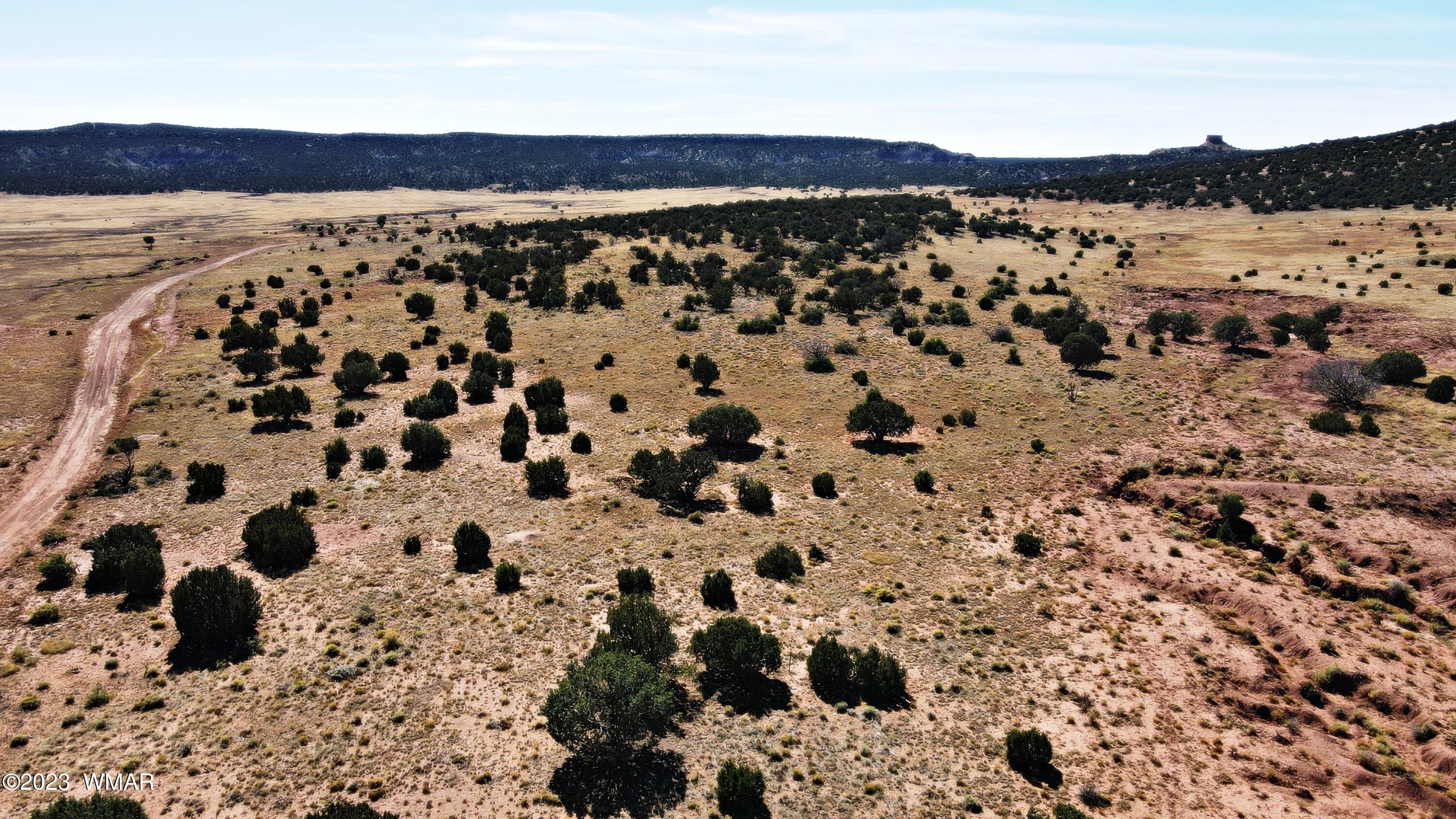 Lot 67 Pinon Valley Ranch, Unit 2 Concho, AZ 85924 - Photo 12 of 24