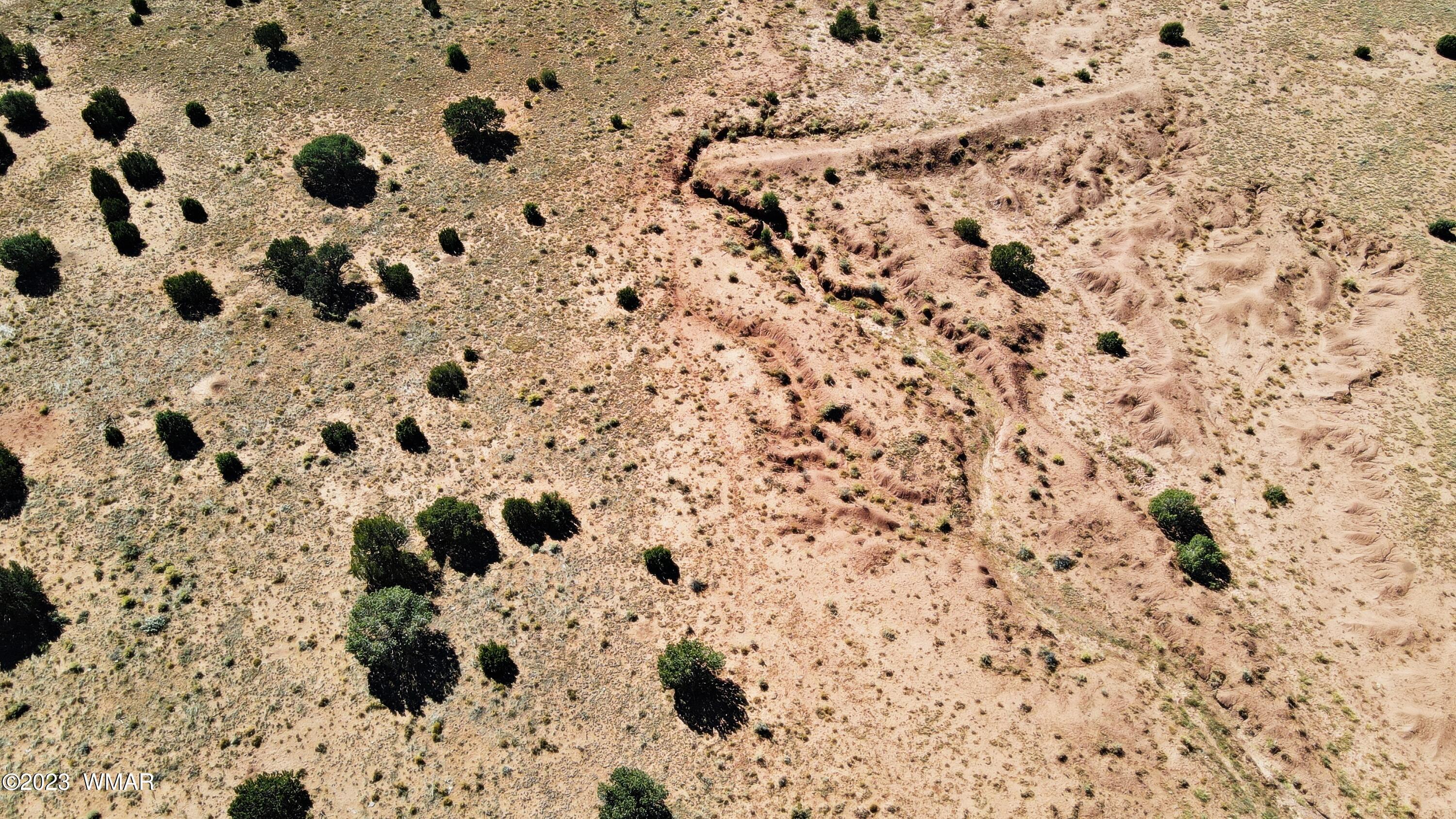 Lot 67 Pinon Valley Ranch, Unit 2 Concho, AZ 85924 - Photo 13 of 24