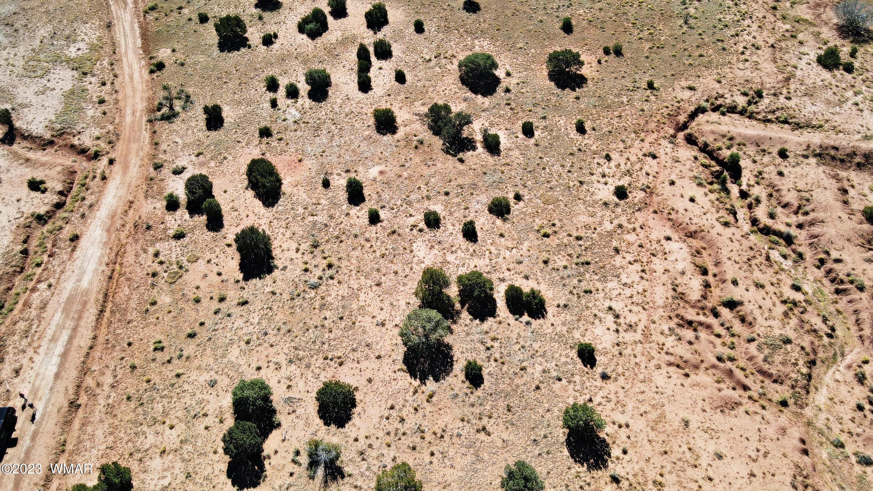 Lot 67 Pinon Valley Ranch, Unit 2 Concho, AZ 85924 - Photo 14 of 24