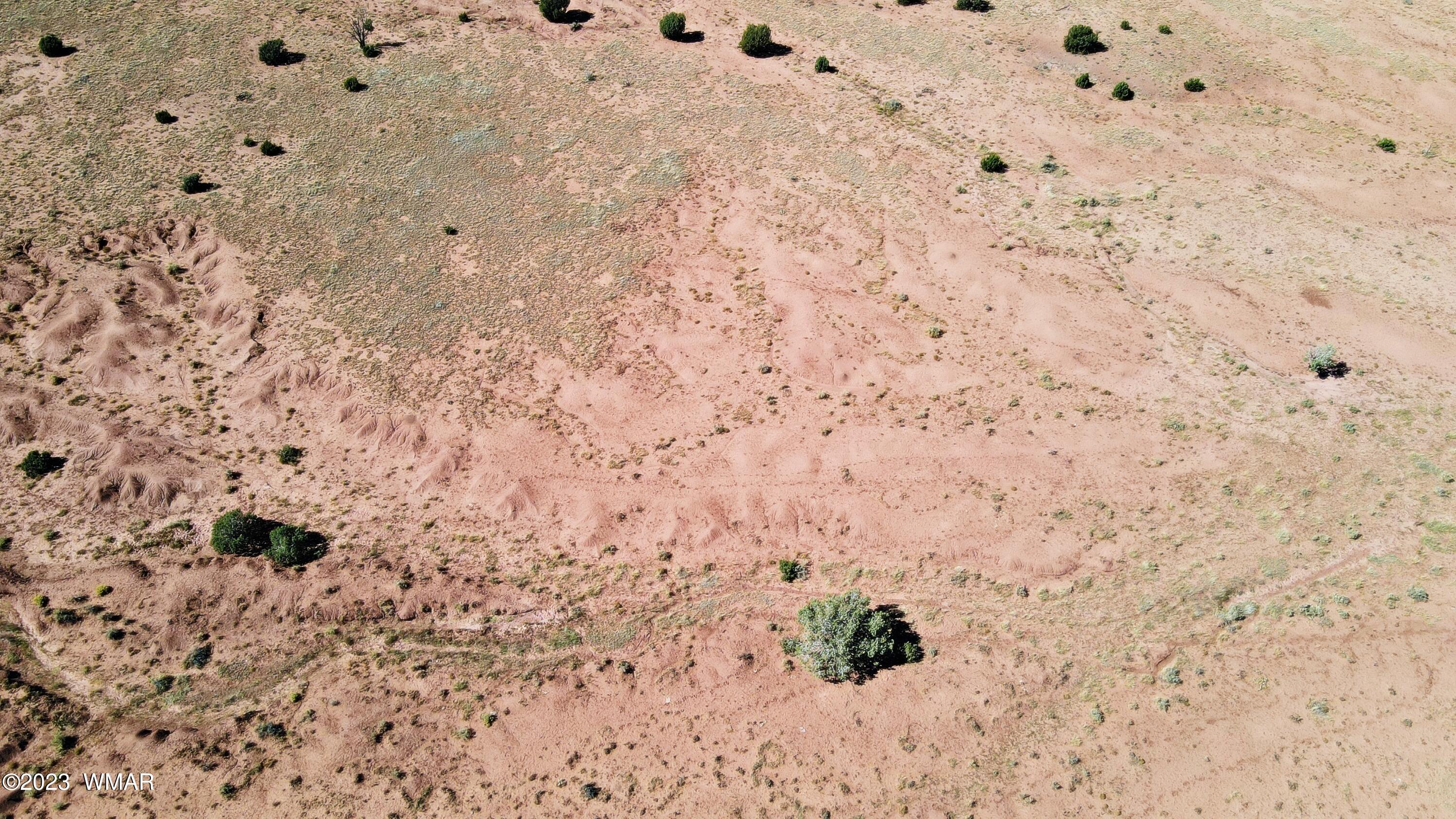 Lot 67 Pinon Valley Ranch, Unit 2 Concho, AZ 85924 - Photo 15 of 24