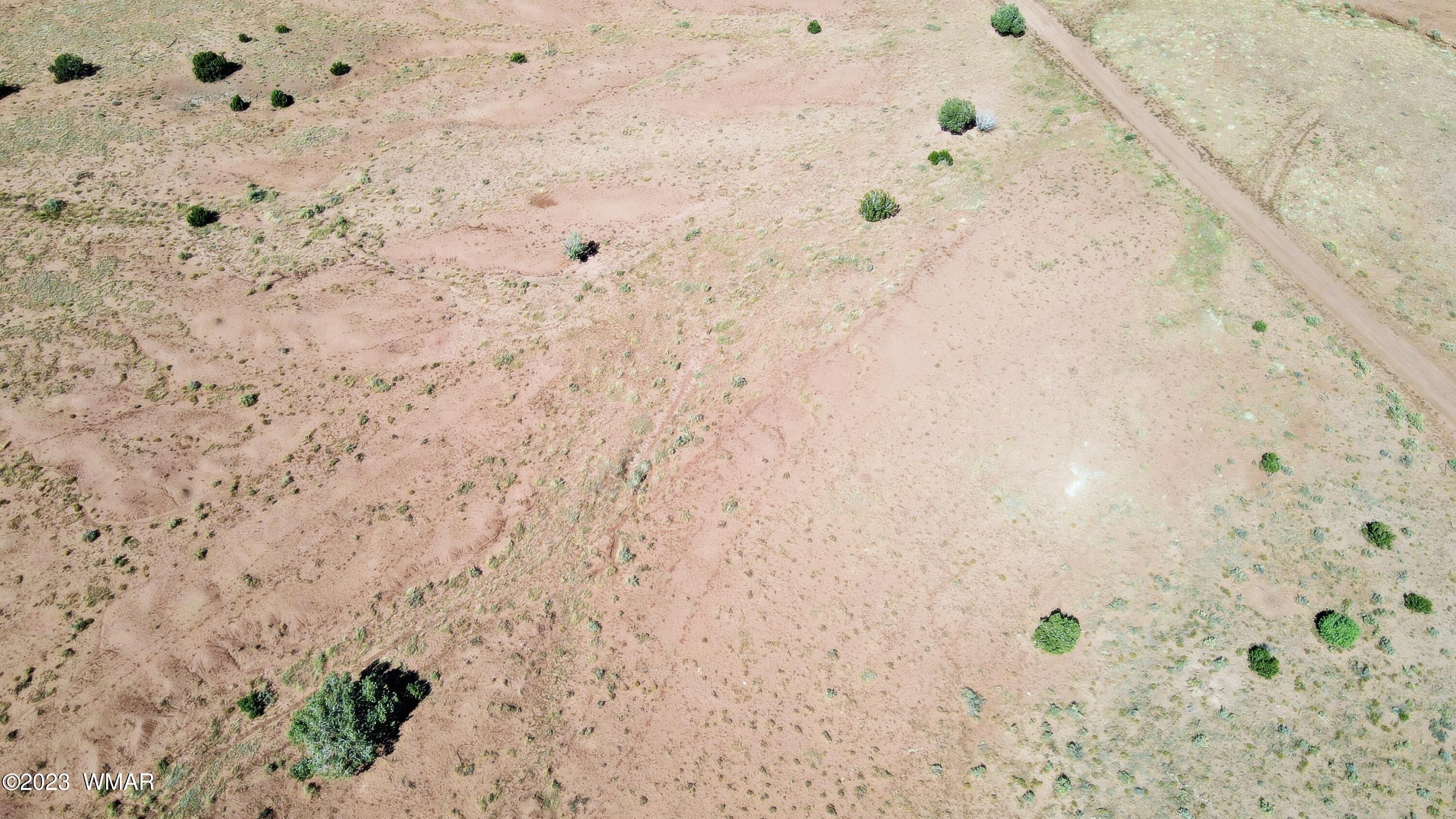 Lot 67 Pinon Valley Ranch, Unit 2 Concho, AZ 85924 - Photo 16 of 24