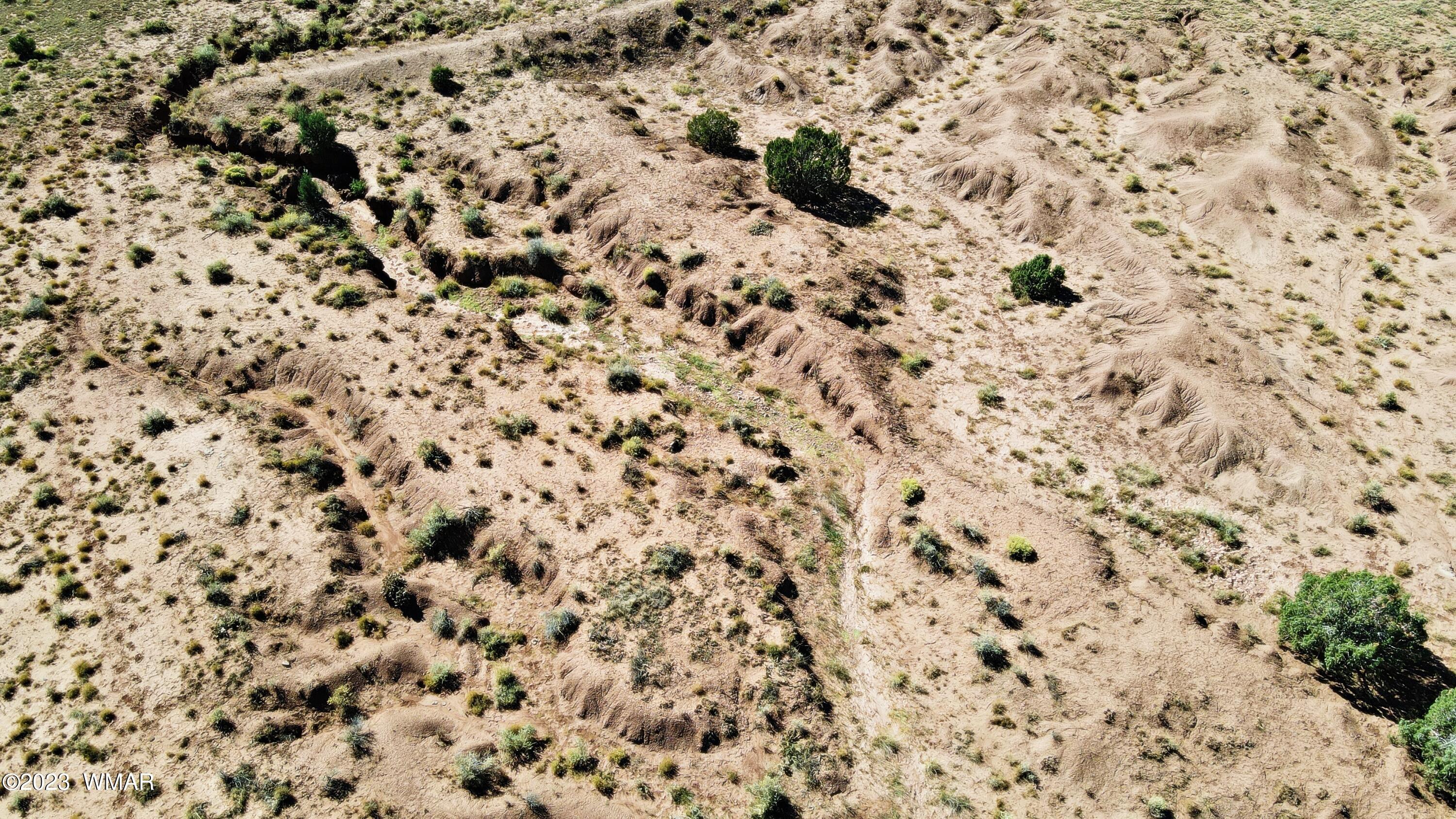 Lot 67 Pinon Valley Ranch, Unit 2 Concho, AZ 85924 - Photo 17 of 24