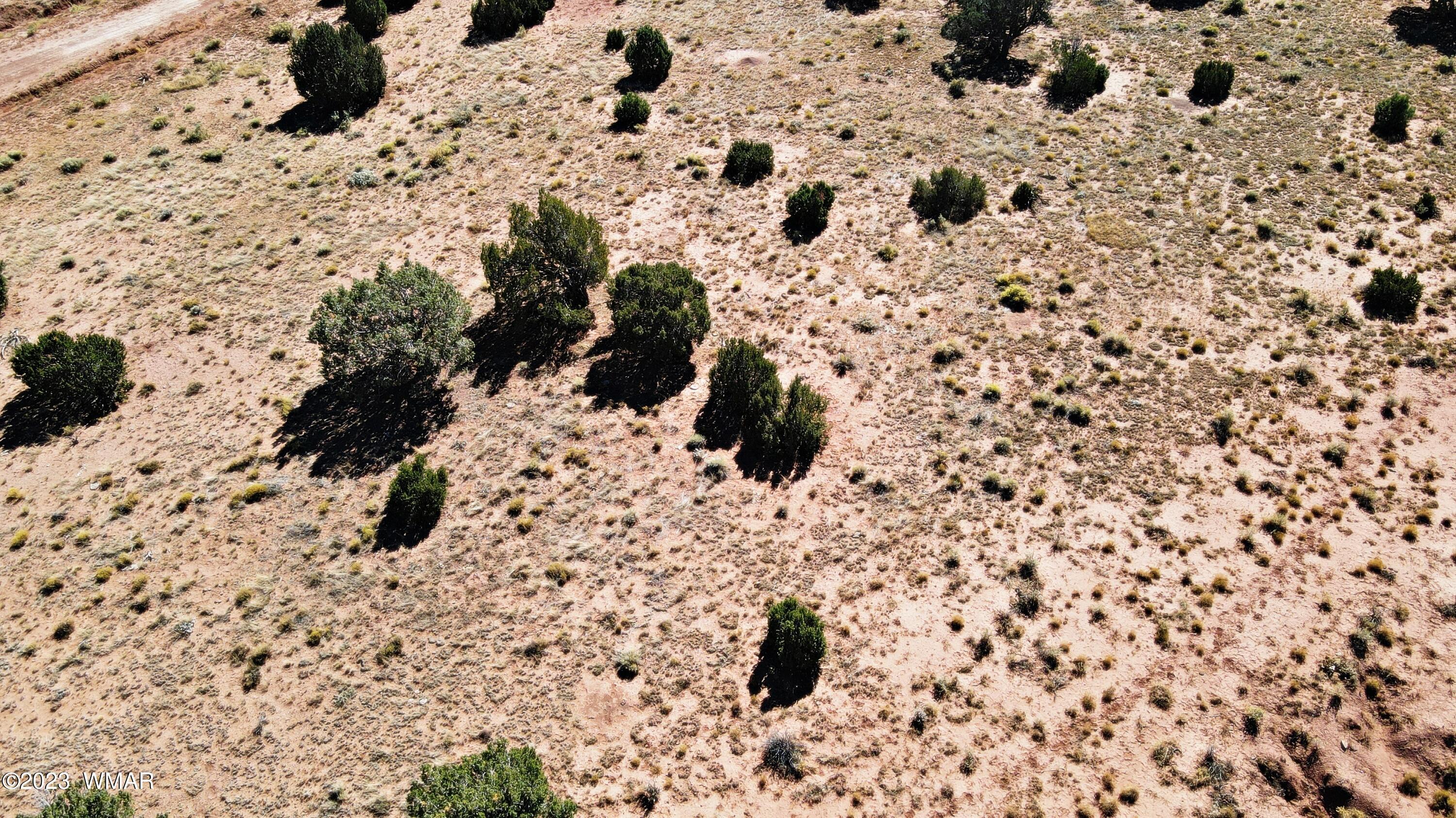 Lot 67 Pinon Valley Ranch, Unit 2 Concho, AZ 85924 - Photo 18 of 24