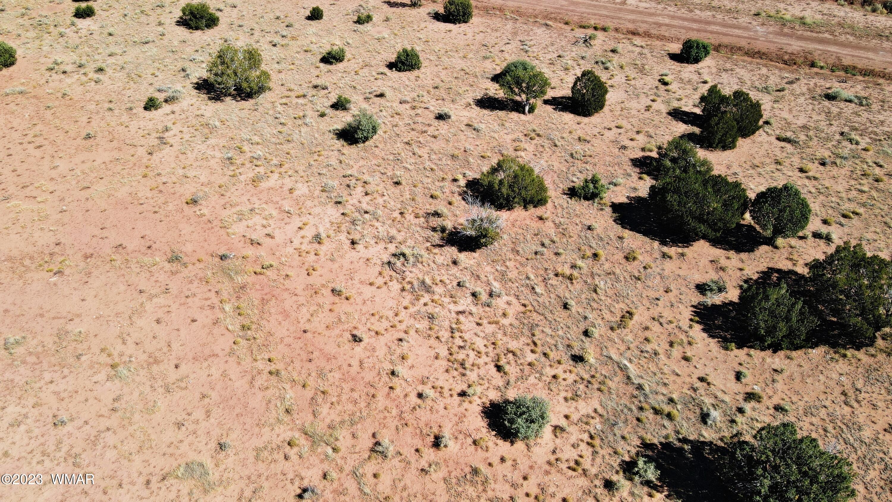 Lot 67 Pinon Valley Ranch, Unit 2 Concho, AZ 85924 - Photo 19 of 24