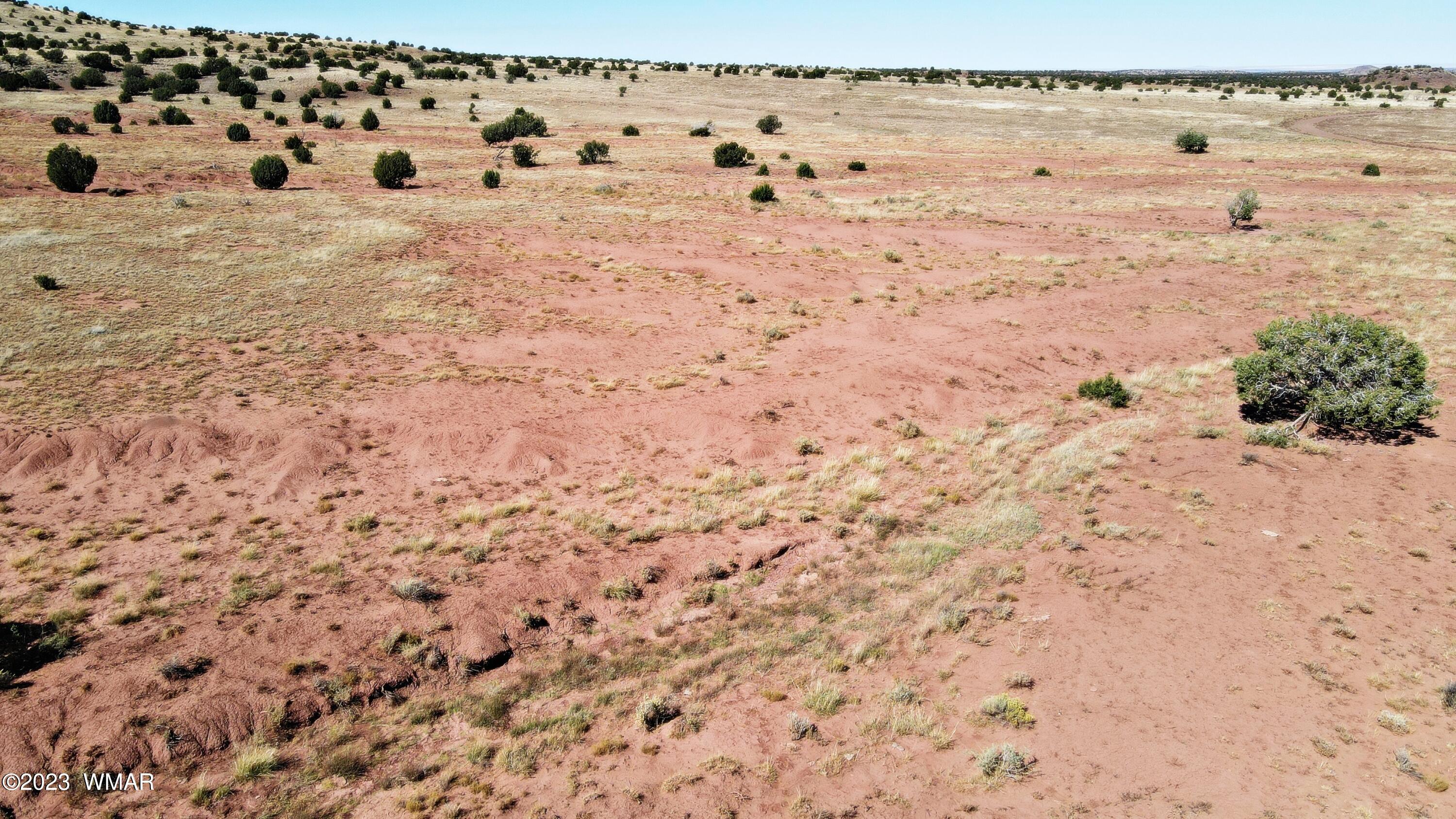 Lot 67 Pinon Valley Ranch, Unit 2 Concho, AZ 85924 - Photo 20 of 24