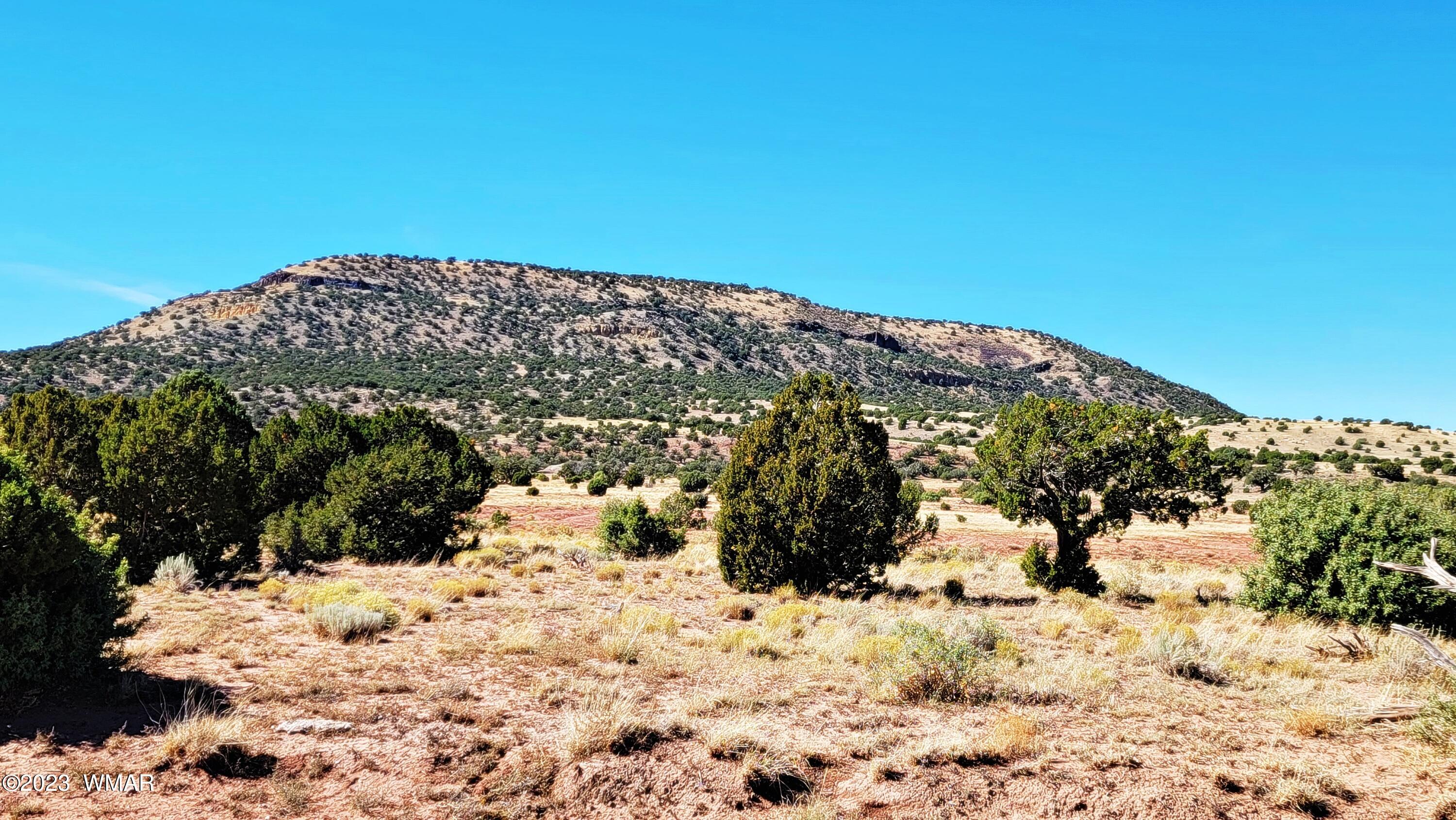 Lot 67 Pinon Valley Ranch, Unit 2 Concho, AZ 85924 - Photo 2 of 24