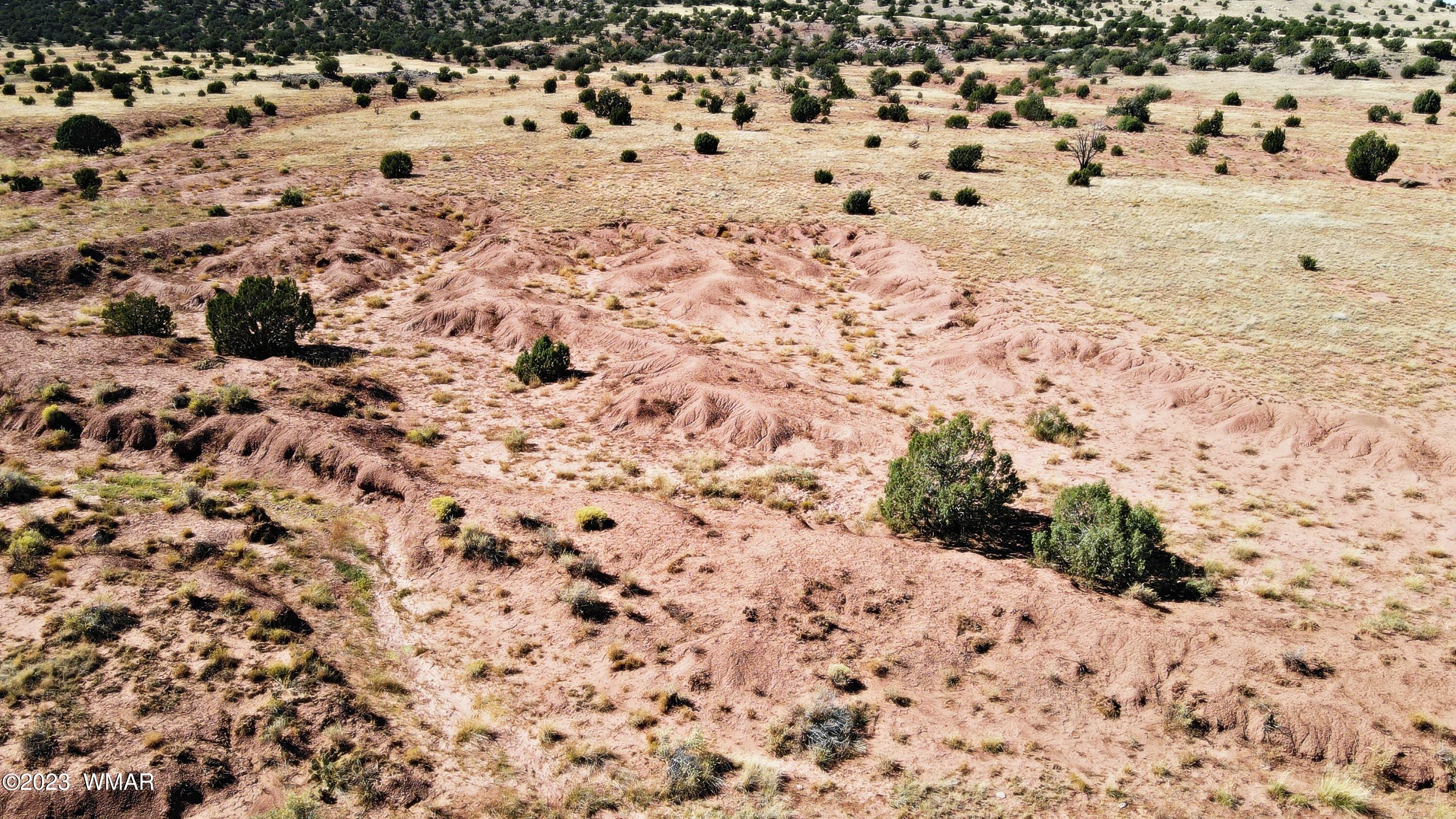 Lot 67 Pinon Valley Ranch, Unit 2 Concho, AZ 85924 - Photo 21 of 24
