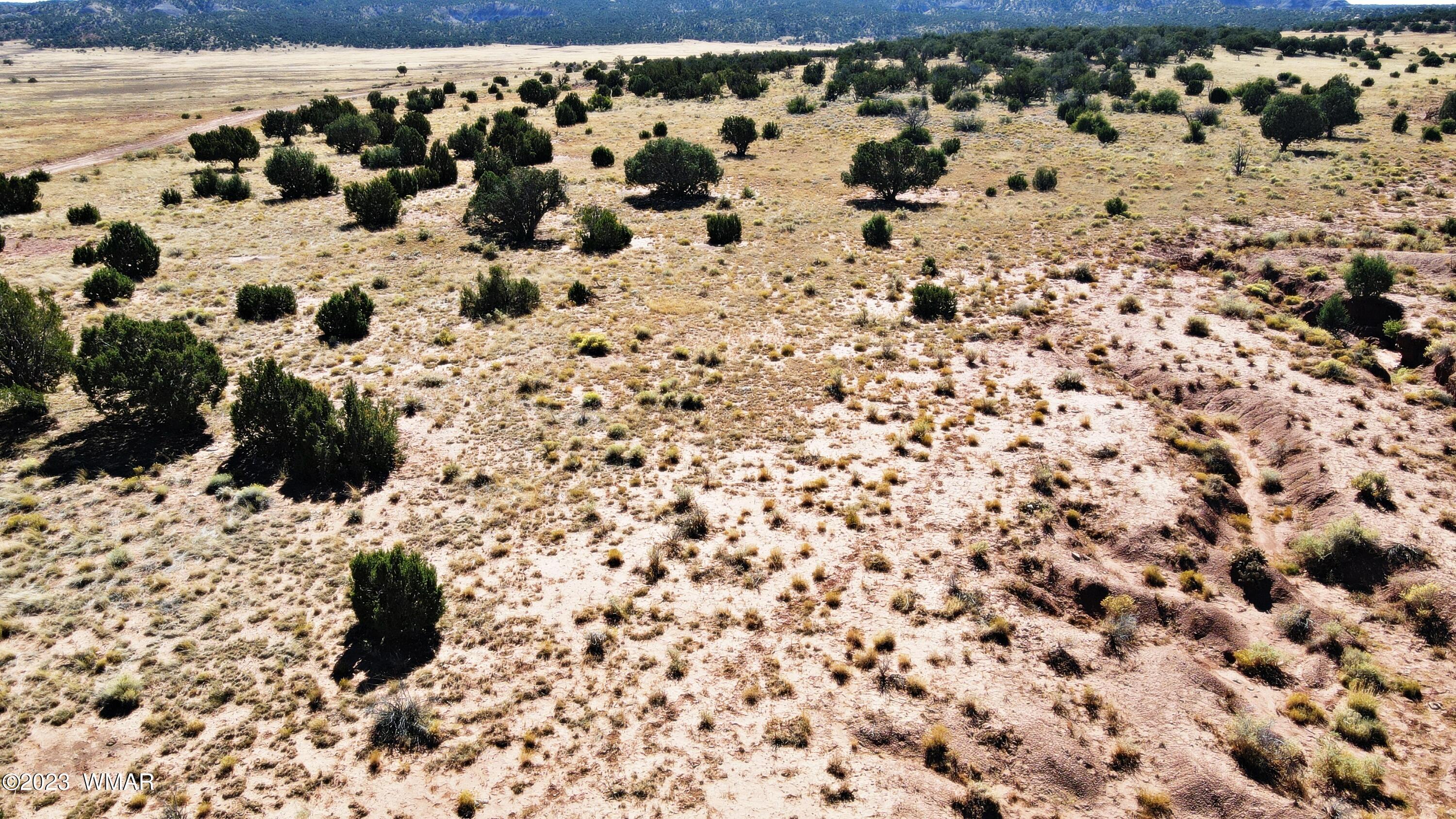 Lot 67 Pinon Valley Ranch, Unit 2 Concho, AZ 85924 - Photo 22 of 24