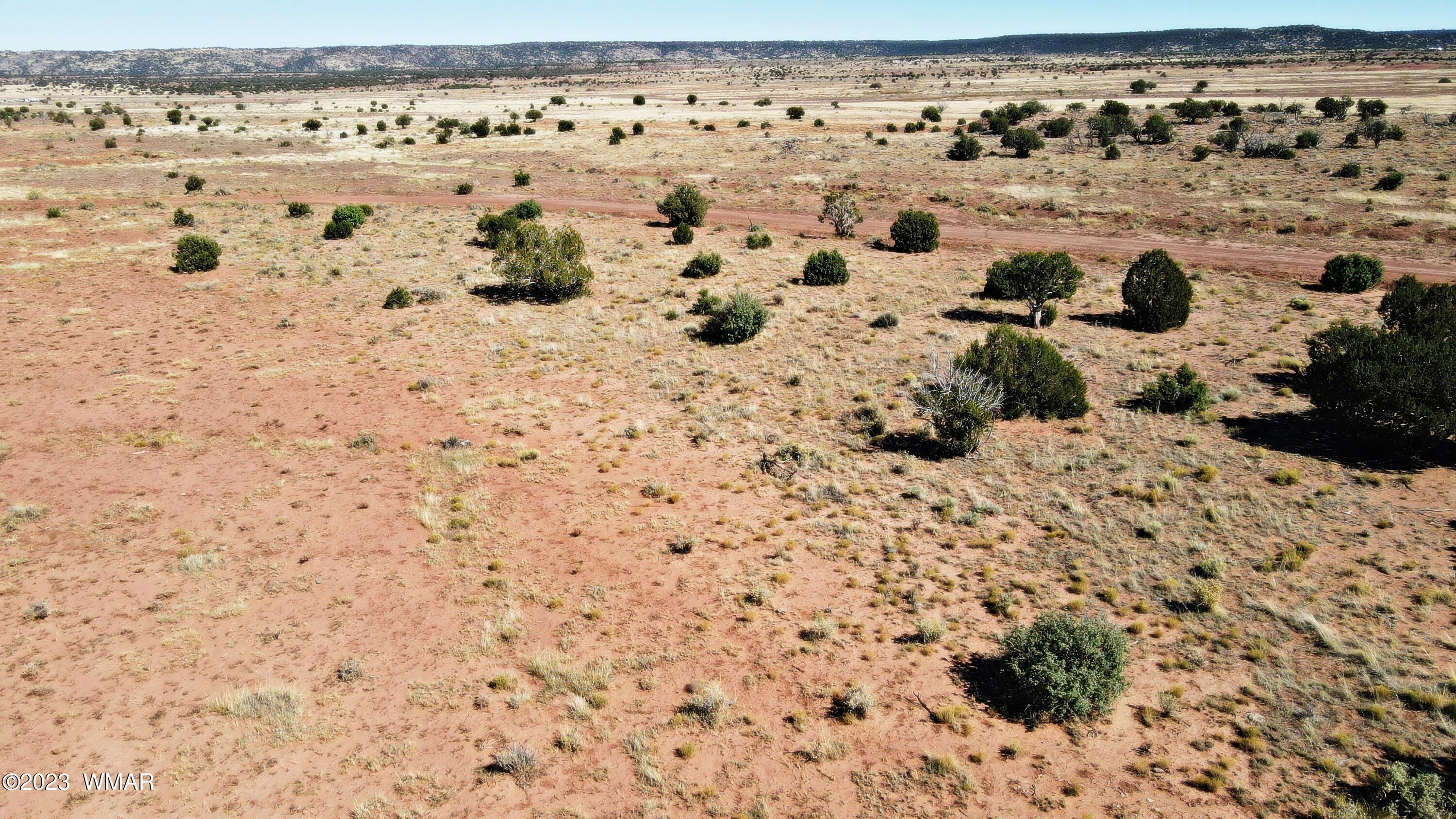 Lot 67 Pinon Valley Ranch, Unit 2 Concho, AZ 85924 - Photo 23 of 24