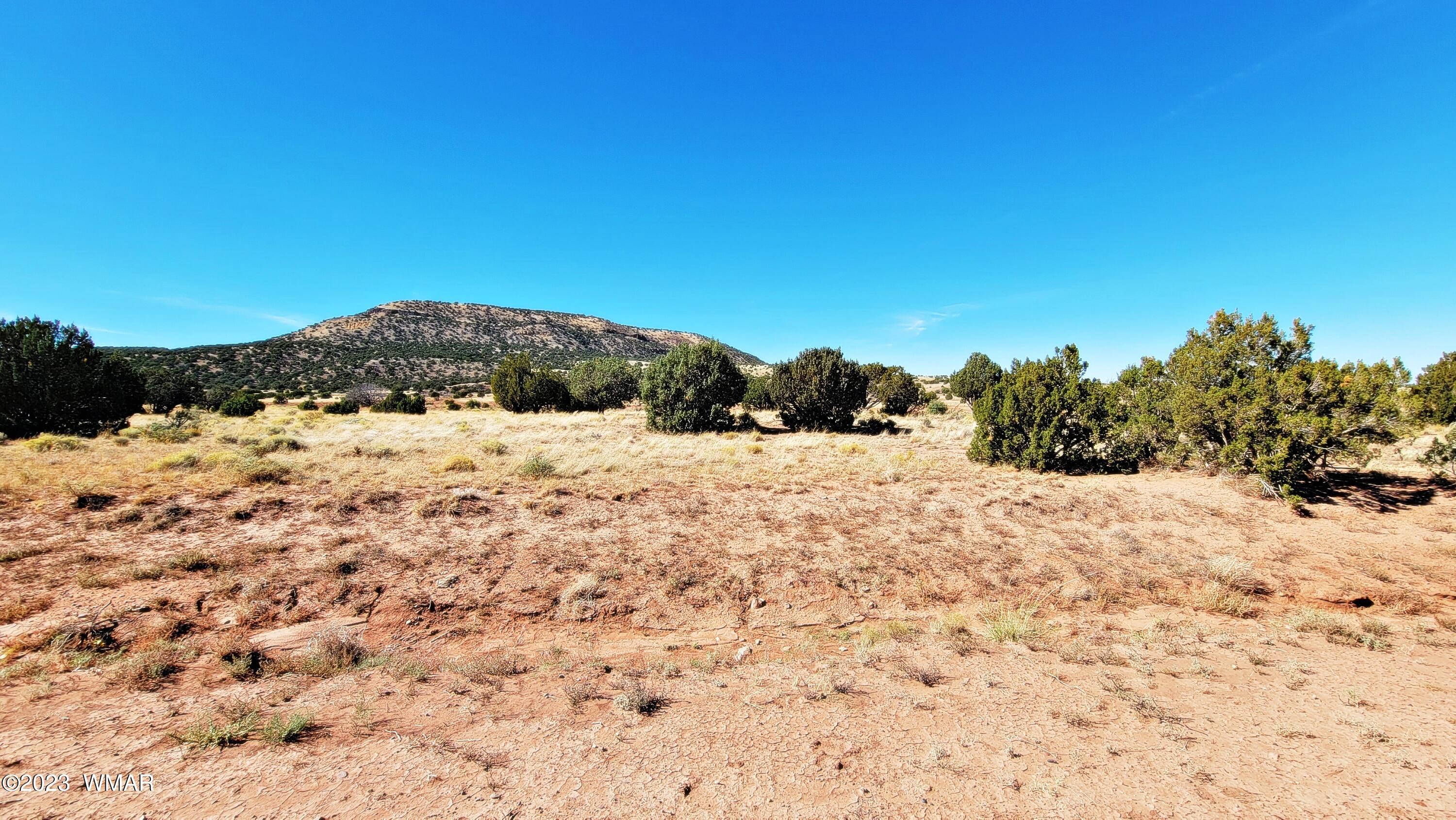 Lot 67 Pinon Valley Ranch, Unit 2 Concho, AZ 85924 - Photo 4 of 24