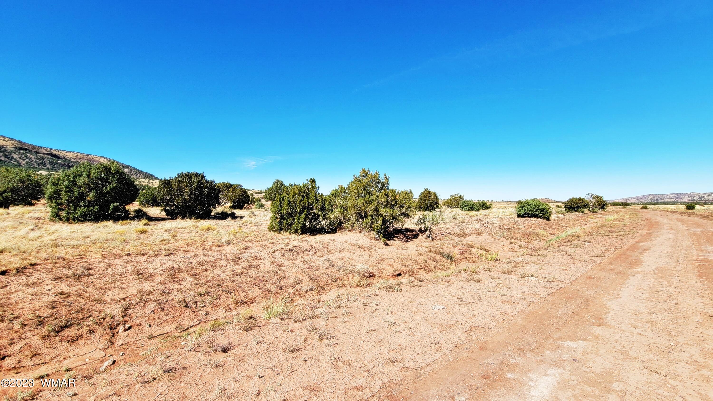 Lot 67 Pinon Valley Ranch, Unit 2 Concho, AZ 85924 - Photo 5 of 24