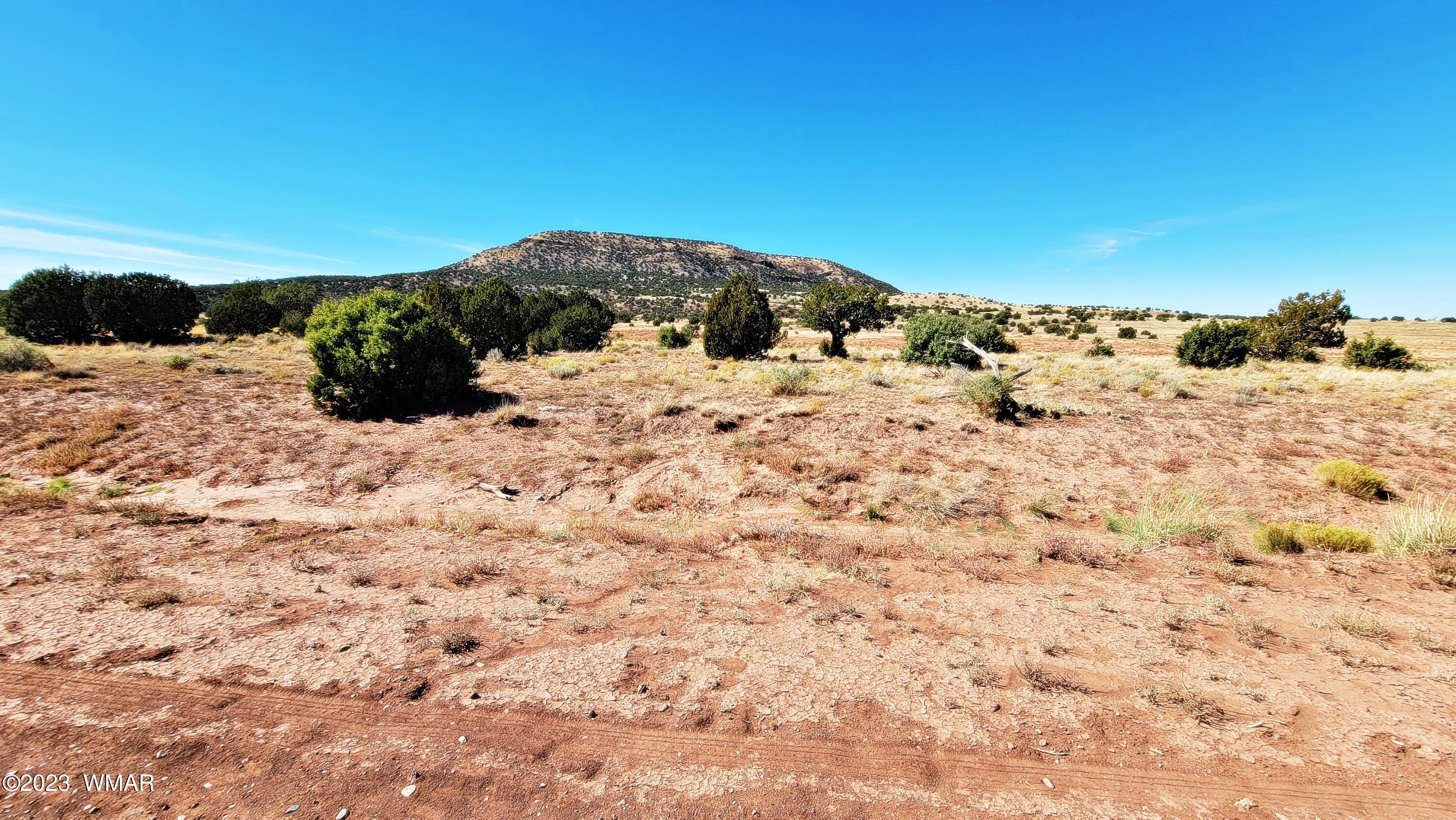 Lot 67 Pinon Valley Ranch, Unit 2 Concho, AZ 85924 - Photo 6 of 24