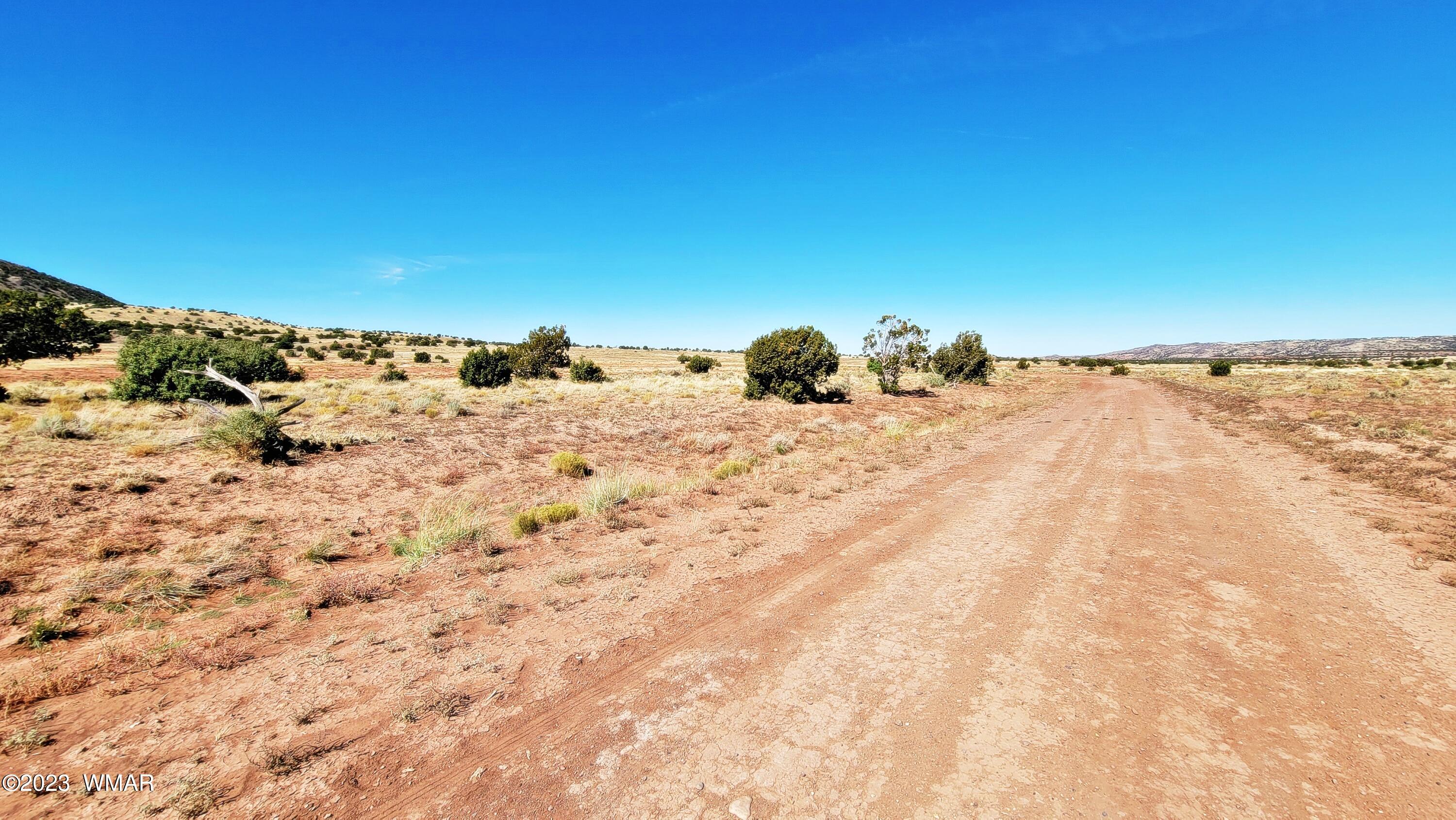 Lot 67 Pinon Valley Ranch, Unit 2 Concho, AZ 85924 - Photo 7 of 24