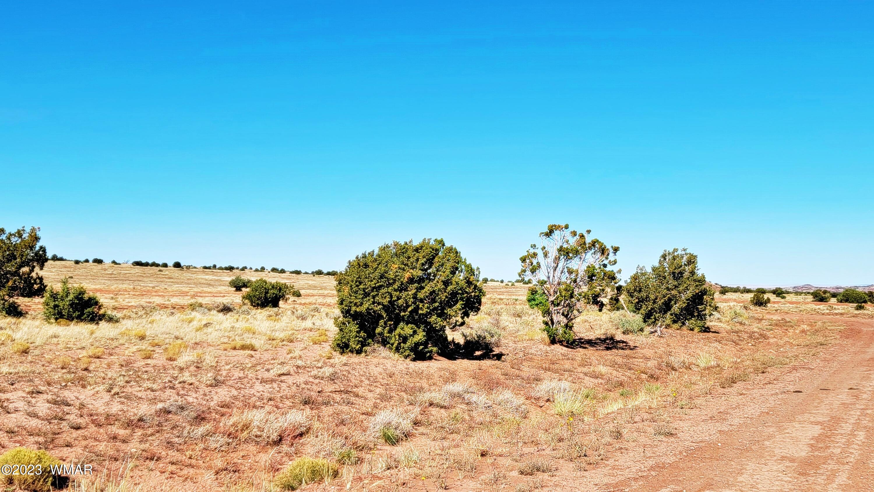 Lot 67 Pinon Valley Ranch, Unit 2 Concho, AZ 85924 - Photo 8 of 24
