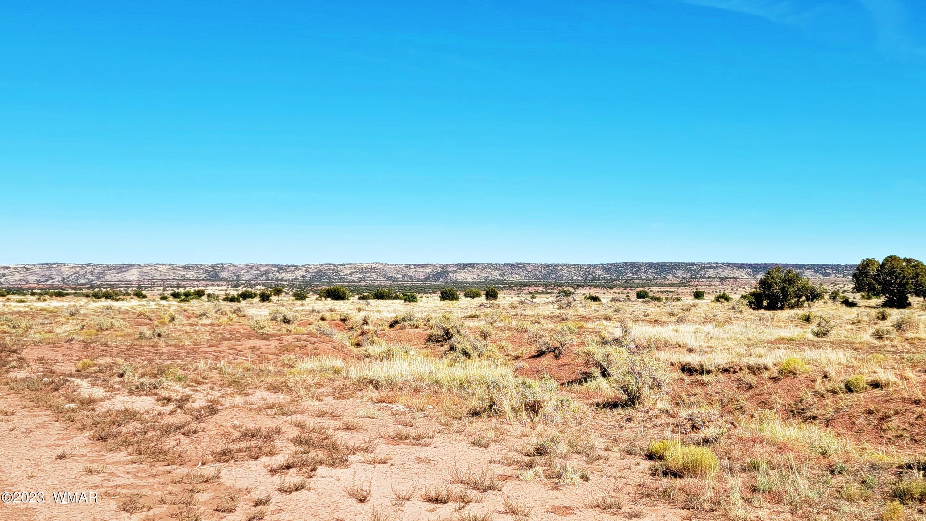 Lot 67 Pinon Valley Ranch, Unit 2 Concho, AZ 85924 - Photo 9 of 24