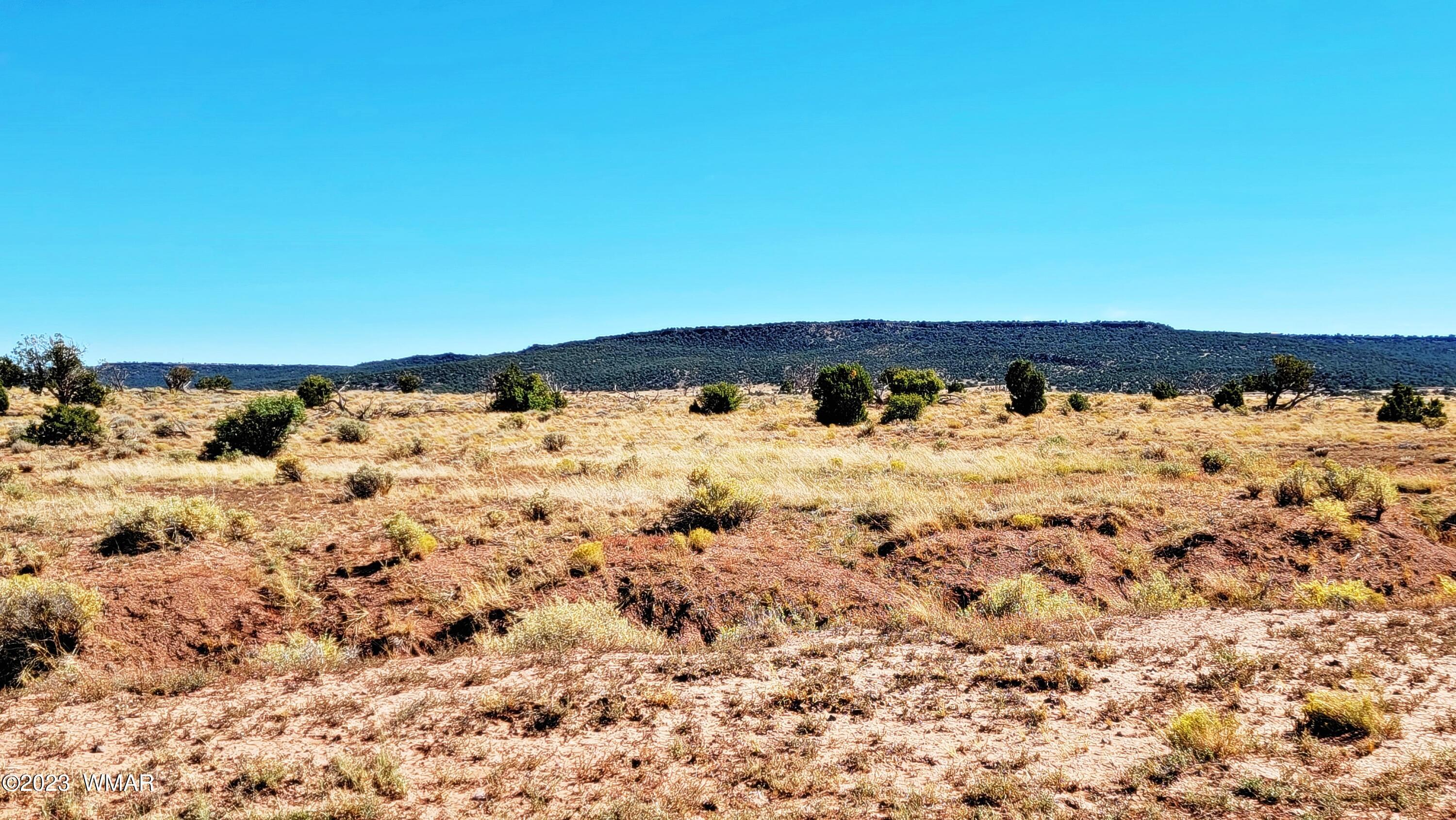 Lot 67 Pinon Valley Ranch, Unit 2 Concho, AZ 85924 - Photo 10 of 24