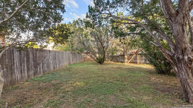 a view of backyard with tree