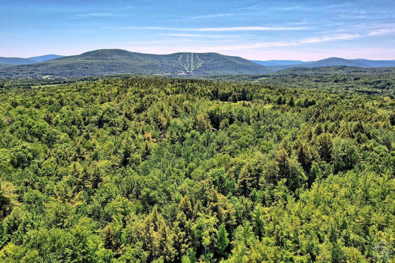 383 Begley Road Windham, NY 12496 - Photo 12 of 58 a view of a lush green hillside and a mountain view