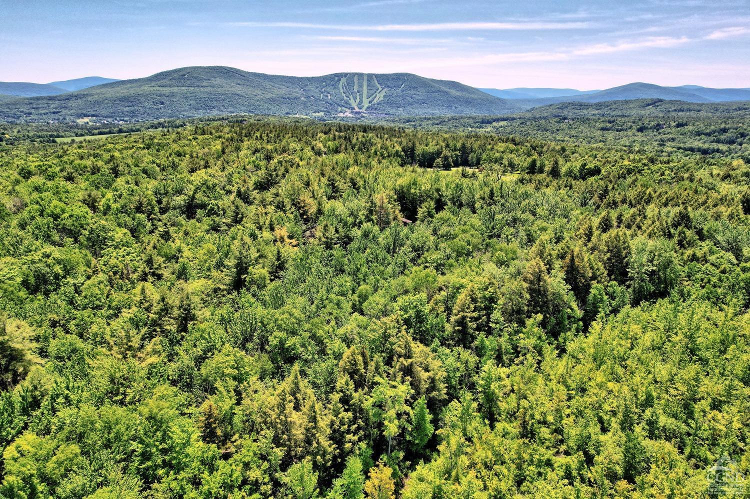383 Begley Road Windham, NY 12496 - Photo 13 of 58 a view of a lush green hillside and a houses