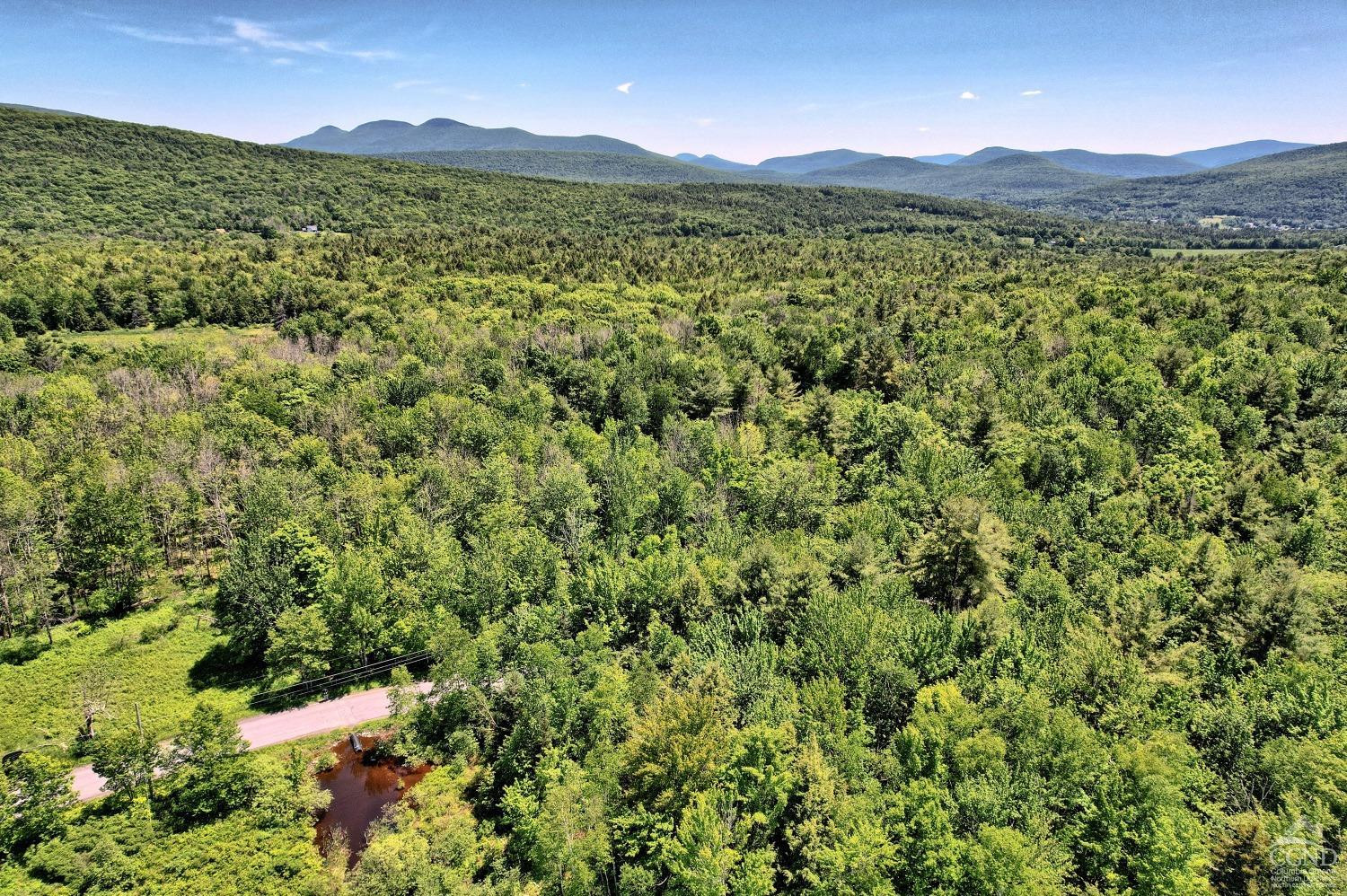 383 Begley Road Windham, NY 12496 - Photo 14 of 58 a view of a lush green hillside and houses