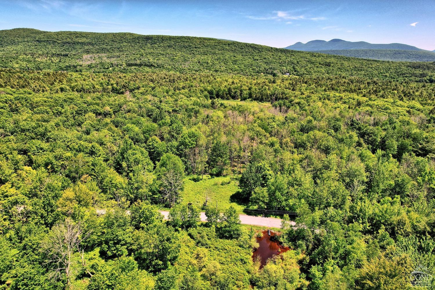 383 Begley Road Windham, NY 12496 - Photo 15 of 58 a view of lake with mountain
