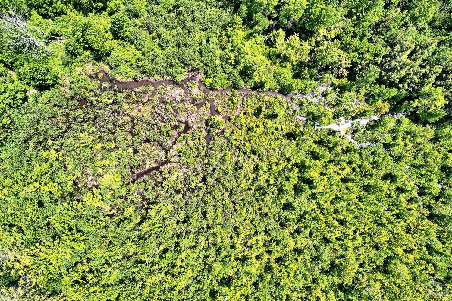 383 Begley Road Windham, NY 12496 - Photo 17 of 58 Photo 17