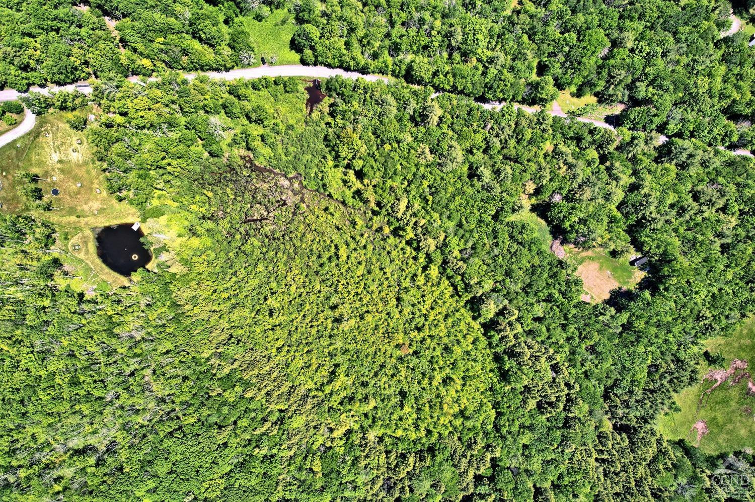 383 Begley Road Windham, NY 12496 - Photo 20 of 58 Photo 20