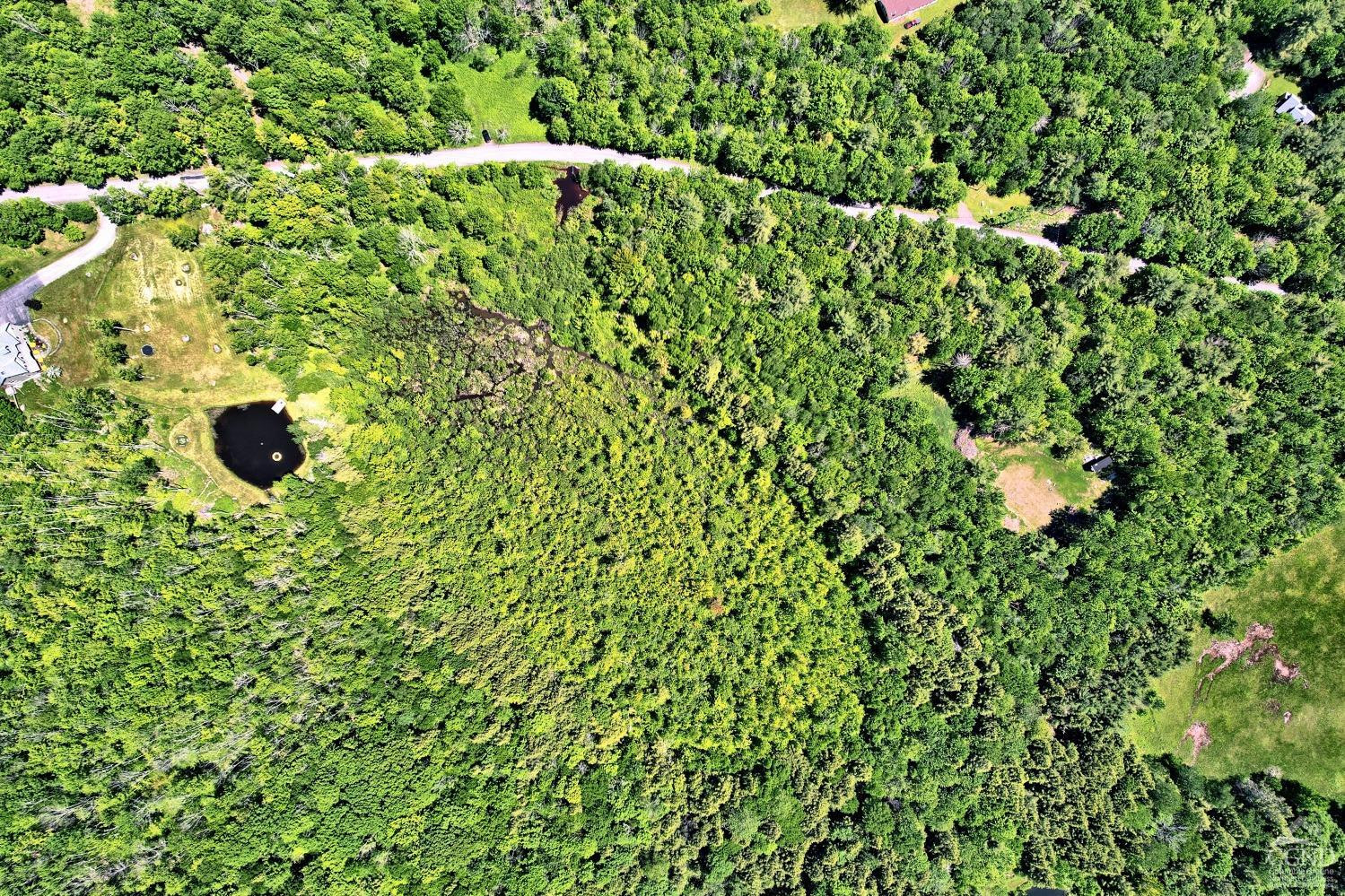 383 Begley Road Windham, NY 12496 - Photo 21 of 58 a view of a bunch of plants