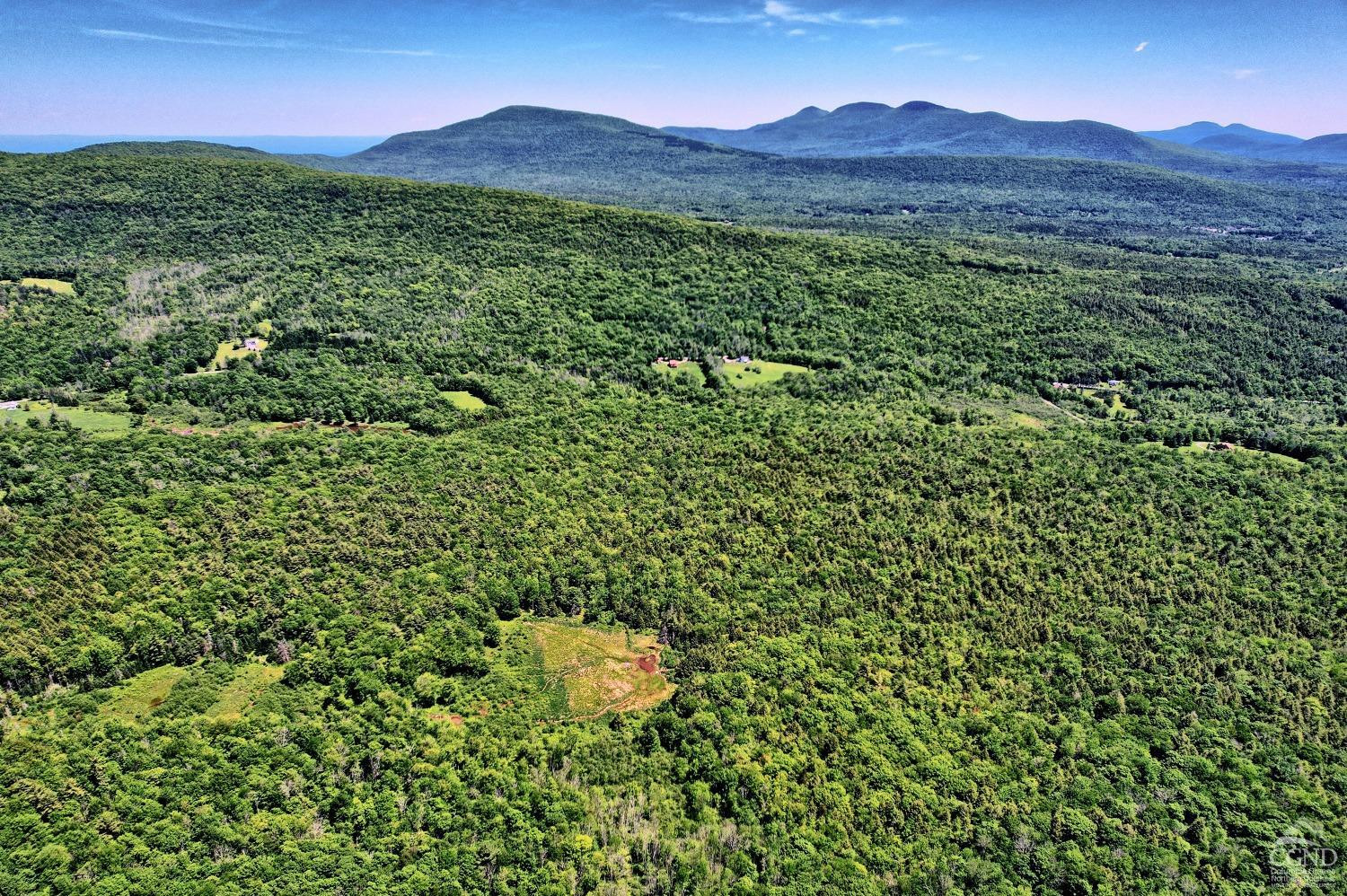 383 Begley Road Windham, NY 12496 - Photo 22 of 58 a view of a lush green hillside and a houses