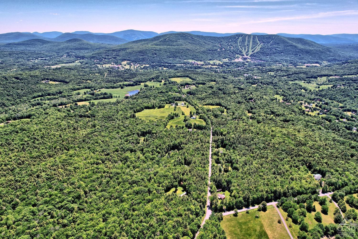 383 Begley Road Windham, NY 12496 - Photo 24 of 58 a view of a lush green field with lots of bushes