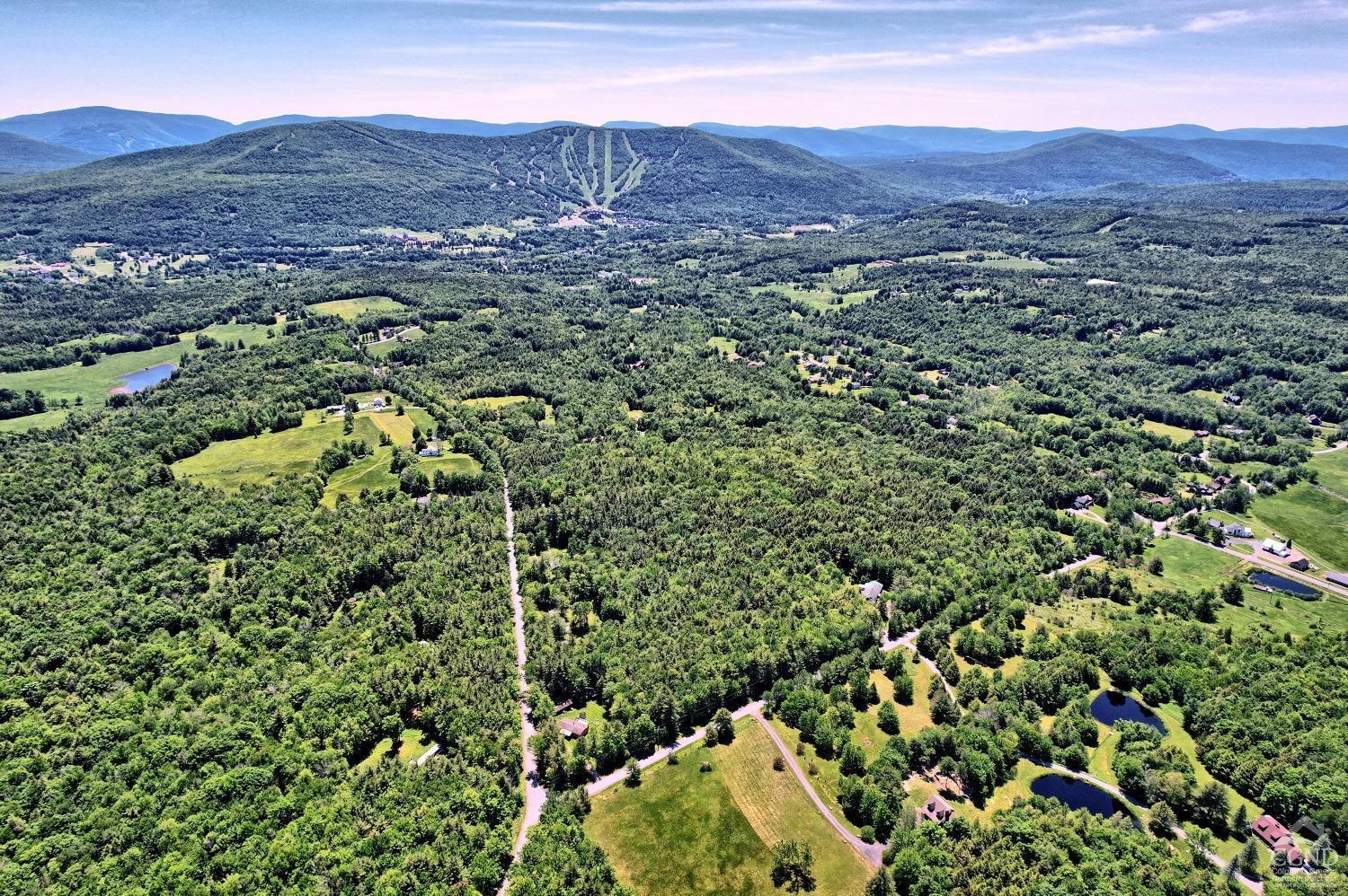 383 Begley Road Windham, NY 12496 - Photo 25 of 58 a view of a lush green hillside and houses