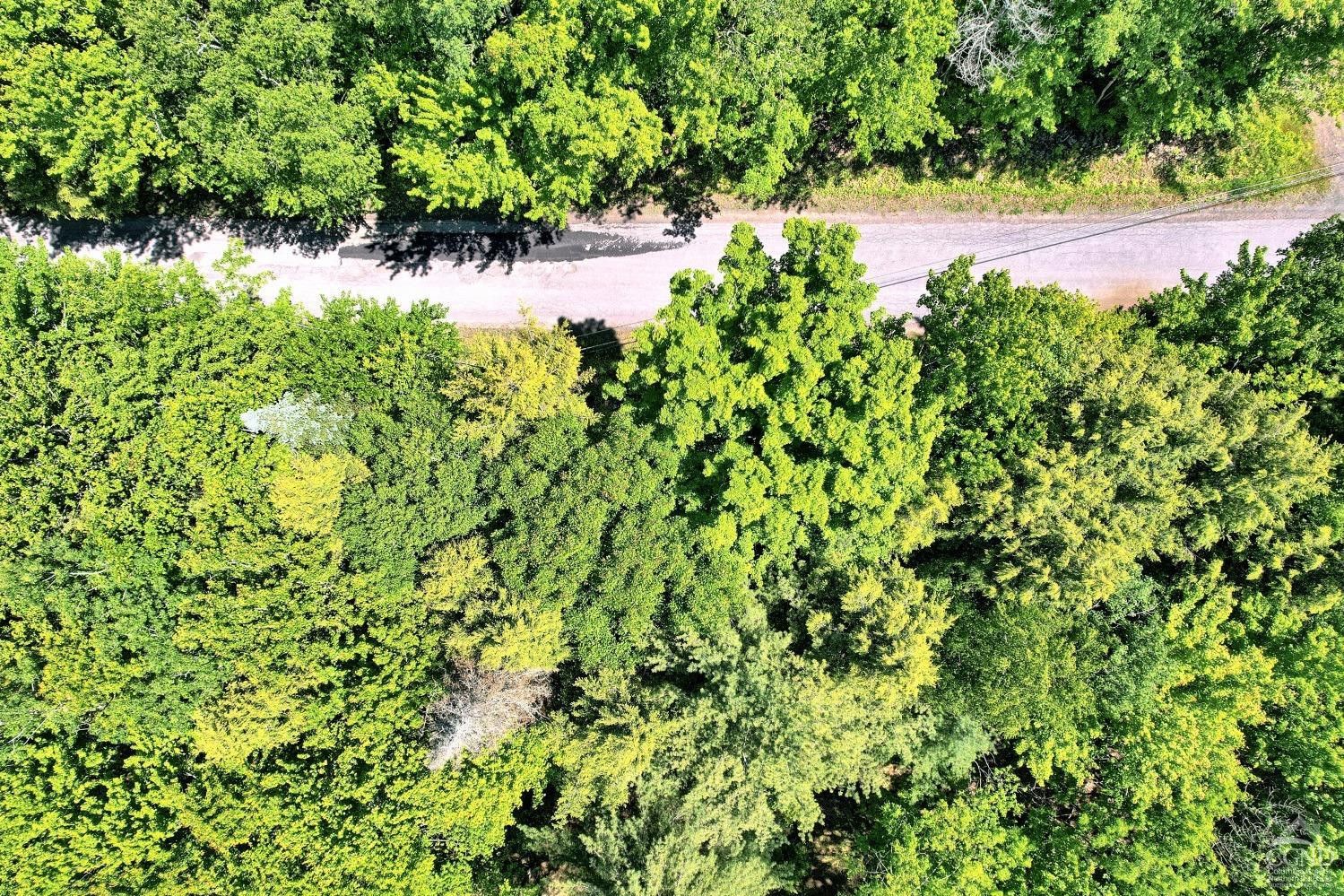 383 Begley Road Windham, NY 12496 - Photo 30 of 58 a view of a garden