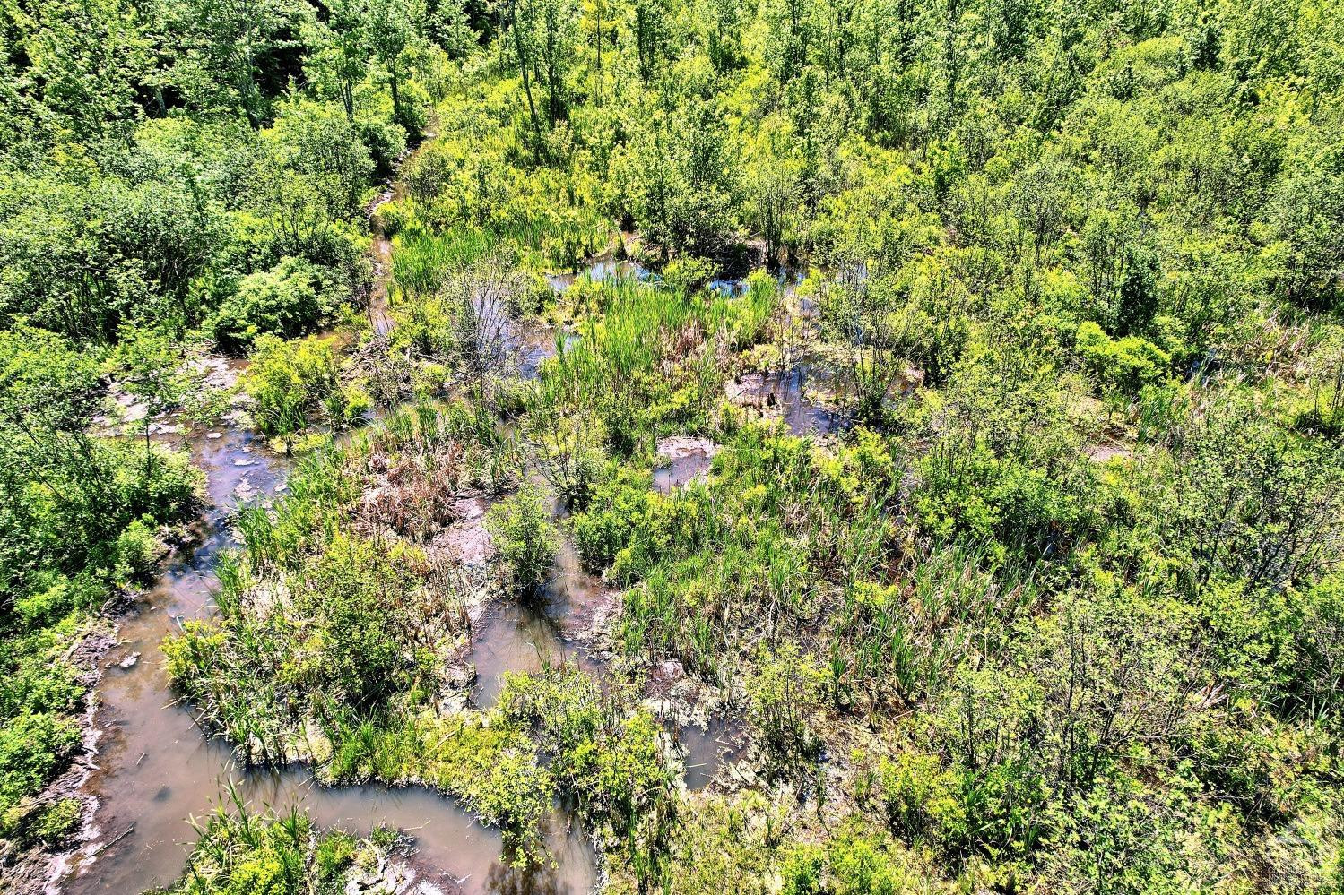 383 Begley Road Windham, NY 12496 - Photo 32 of 58 Photo 32