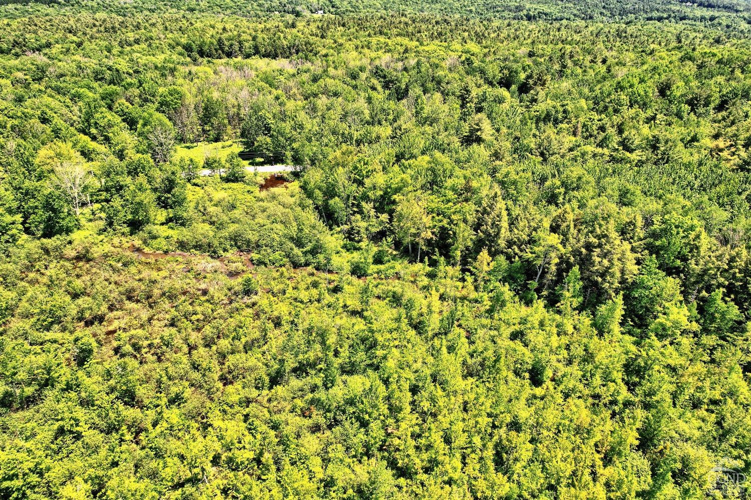 383 Begley Road Windham, NY 12496 - Photo 34 of 58 a view of a yard with a small yard