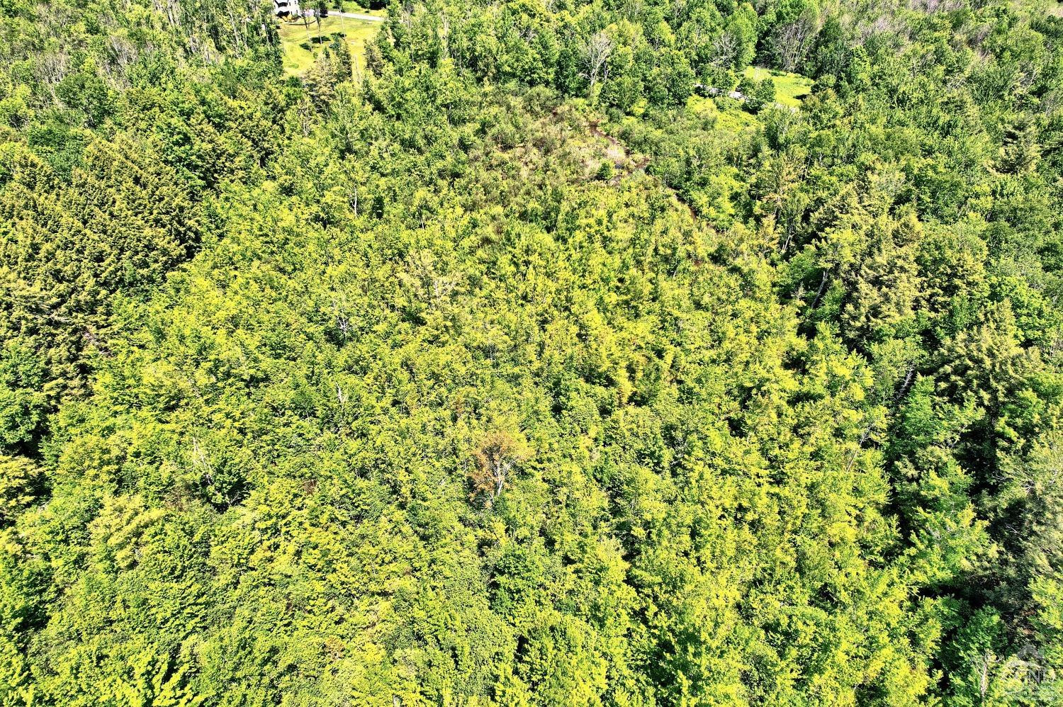 383 Begley Road Windham, NY 12496 - Photo 36 of 58 a view of a green field