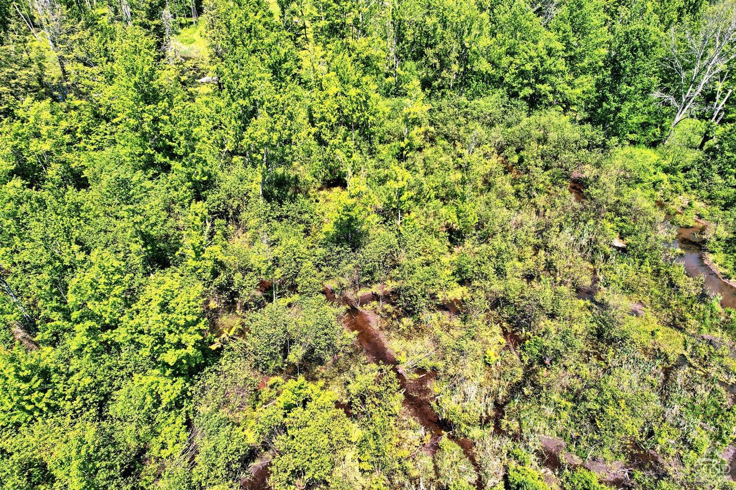 383 Begley Road Windham, NY 12496 - Photo 38 of 58 Photo 38