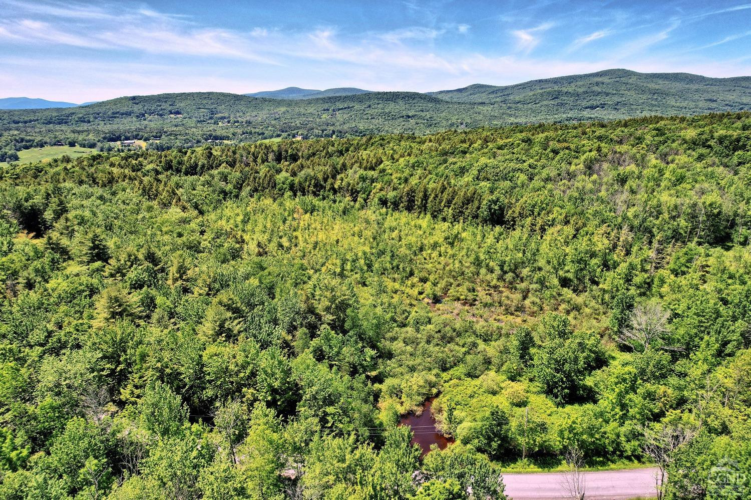 383 Begley Road Windham, NY 12496 - Photo 39 of 58 a view of a lush green field with a mountain in the background