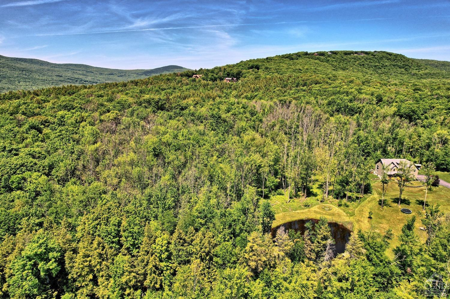 383 Begley Road Windham, NY 12496 - Photo 41 of 58 a view of a large yard with lots of green space