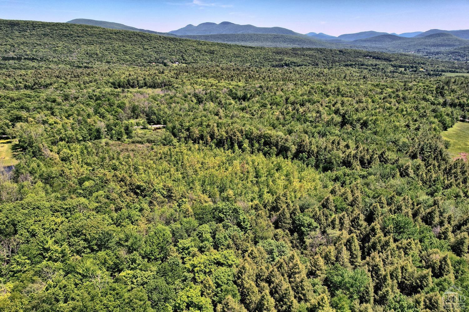 383 Begley Road Windham, NY 12496 - Photo 42 of 58 a view of a lush green field with a mountain in the background