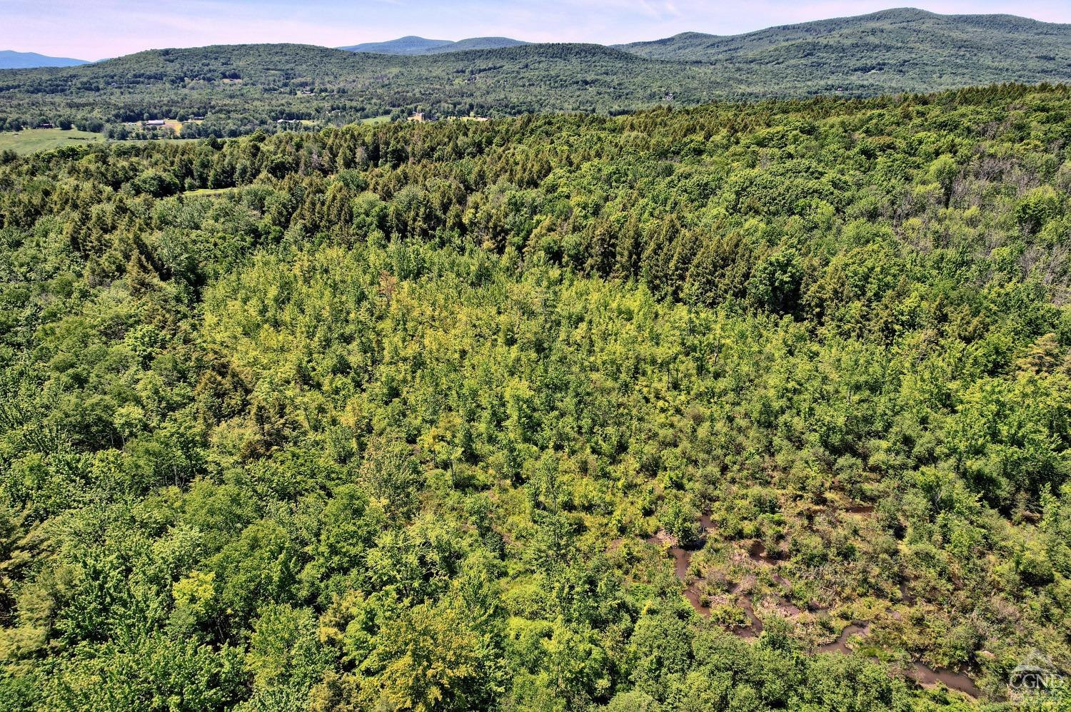 383 Begley Road Windham, NY 12496 - Photo 43 of 58 a view of a lush green hillside and houses
