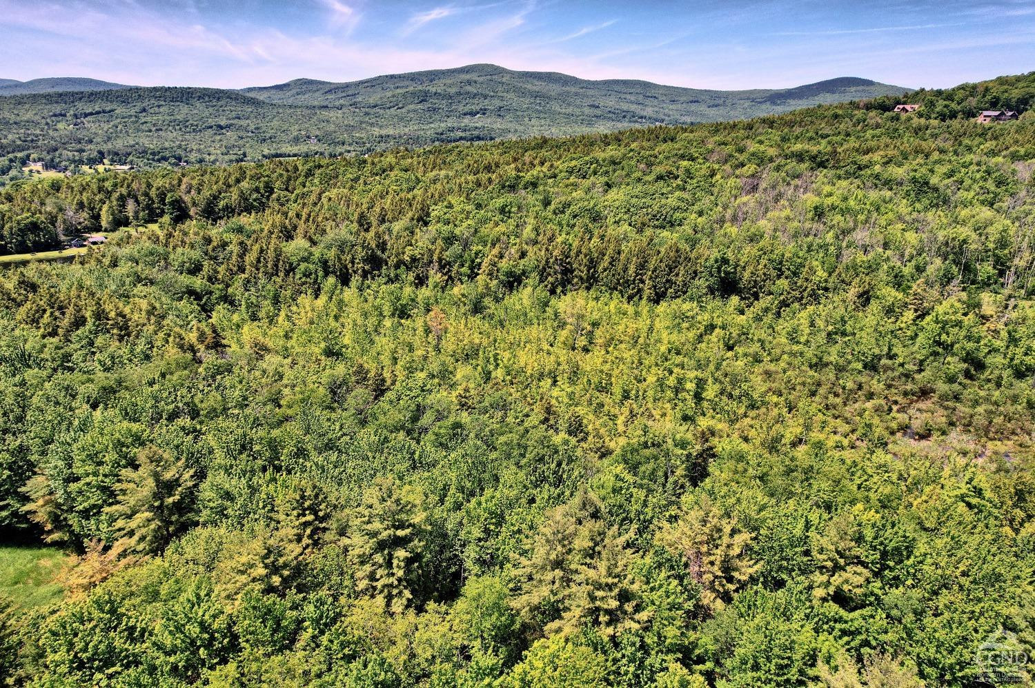 383 Begley Road Windham, NY 12496 - Photo 44 of 58 a view of a lush green forest with a mountain in the background