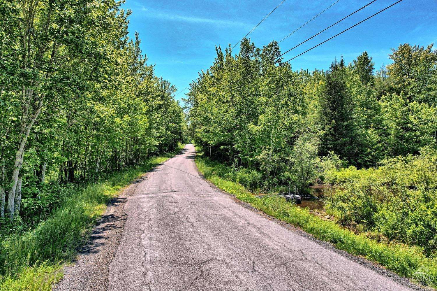 383 Begley Road Windham, NY 12496 - Photo 45 of 58 a view of a garden with pathway