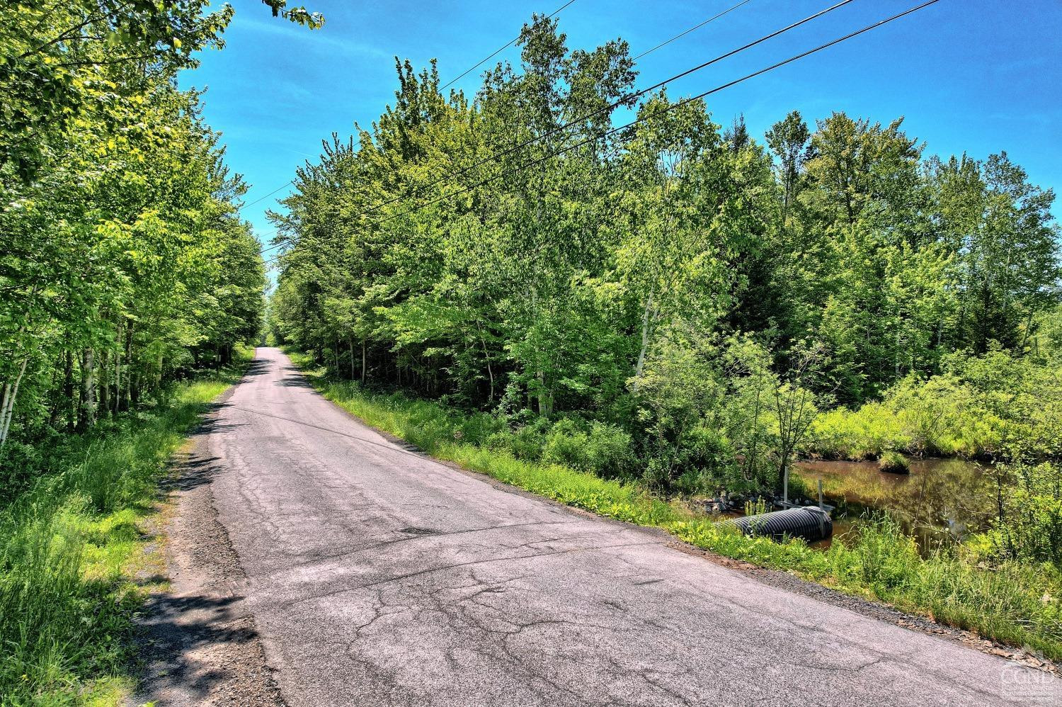 383 Begley Road Windham, NY 12496 - Photo 46 of 58 a view of a pathway of a garden